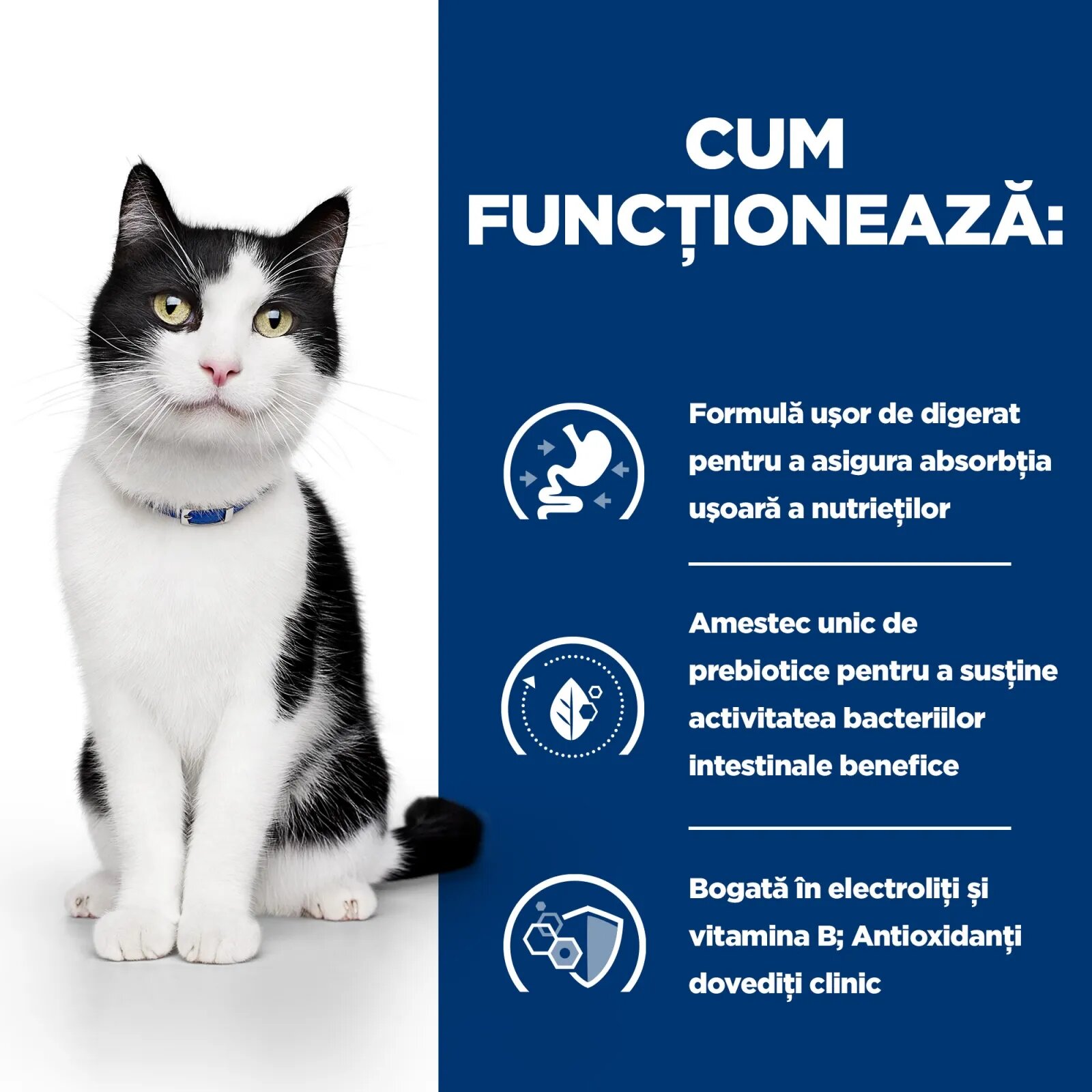 HILL'S Prescription Diet i/d Sensitive Digestive Care Pui dietă veterinară pisici conservă hrană umedă sistem digestiv 156g