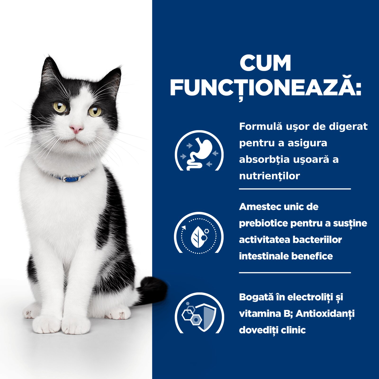 HILL'S Prescription Diet i/d Sensitive Digestive Care Pui dietă veterinară pisici hrană uscată sensibilități digestive i/d Sensitive Digestive Care Pui dietă veterinară pisici hrană uscată sistem digestiv 1.5kg
