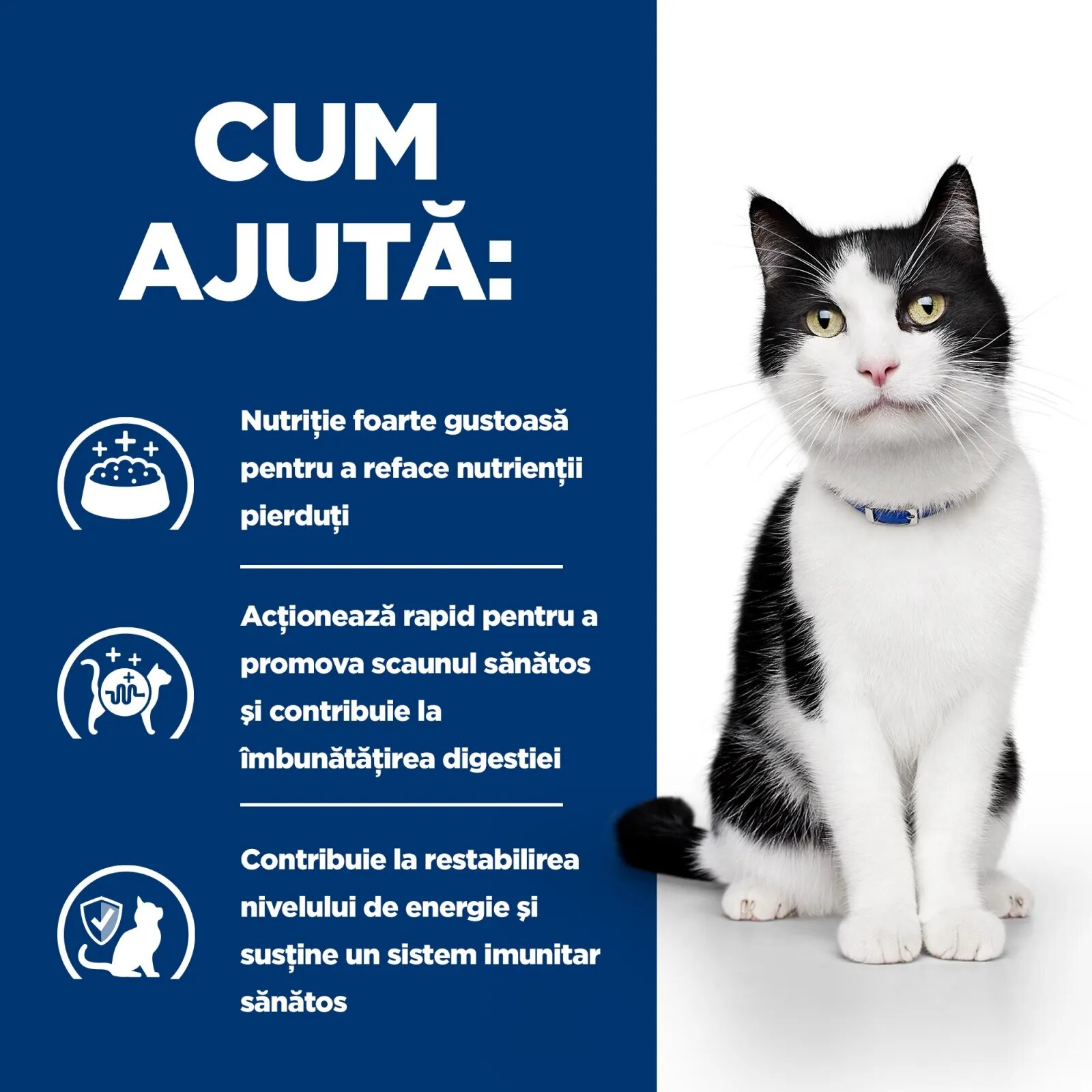 HILL'S Prescription Diet i/d Sensitive Digestive Care Pui dietă veterinară pisici hrană uscată sensibilități digestive i/d Sensitive Digestive Care Pui dietă veterinară pisici hrană uscată sistem digestiv 3kg