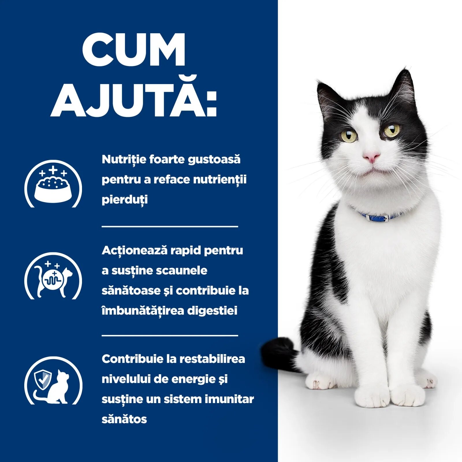 HILL'S Prescription Diet i/d Sensitive Digestive Care Pui dietă veterinară pisici plic hrană umedă sistem digestiv 85g x 12buc