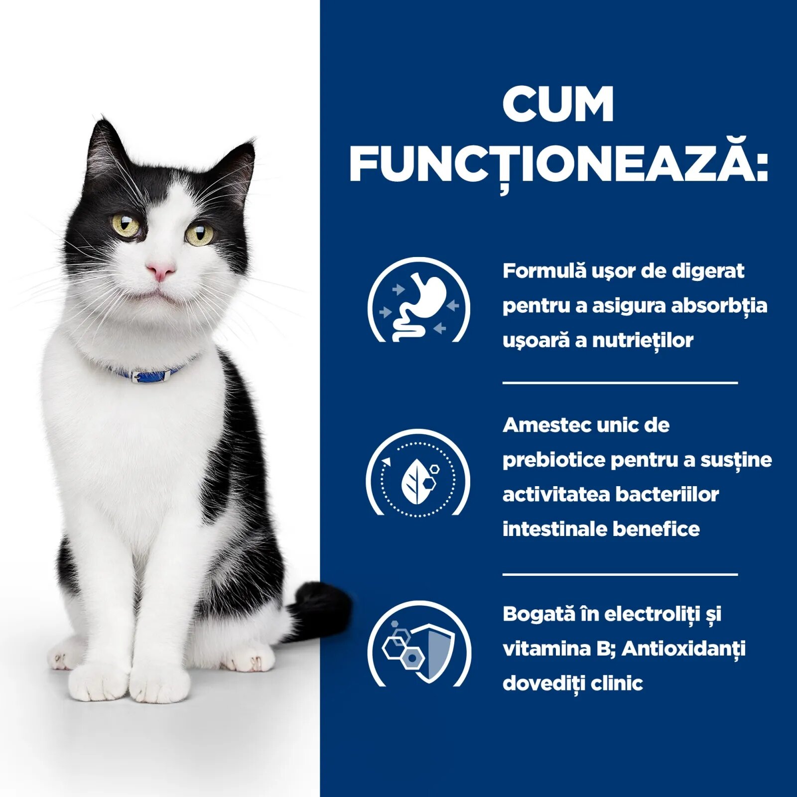 HILL'S Prescription Diet i/d Sensitive Digestive Care Somon dietă veterinară pisici plic hrană umedă sistem digestiv 85g x 12buc