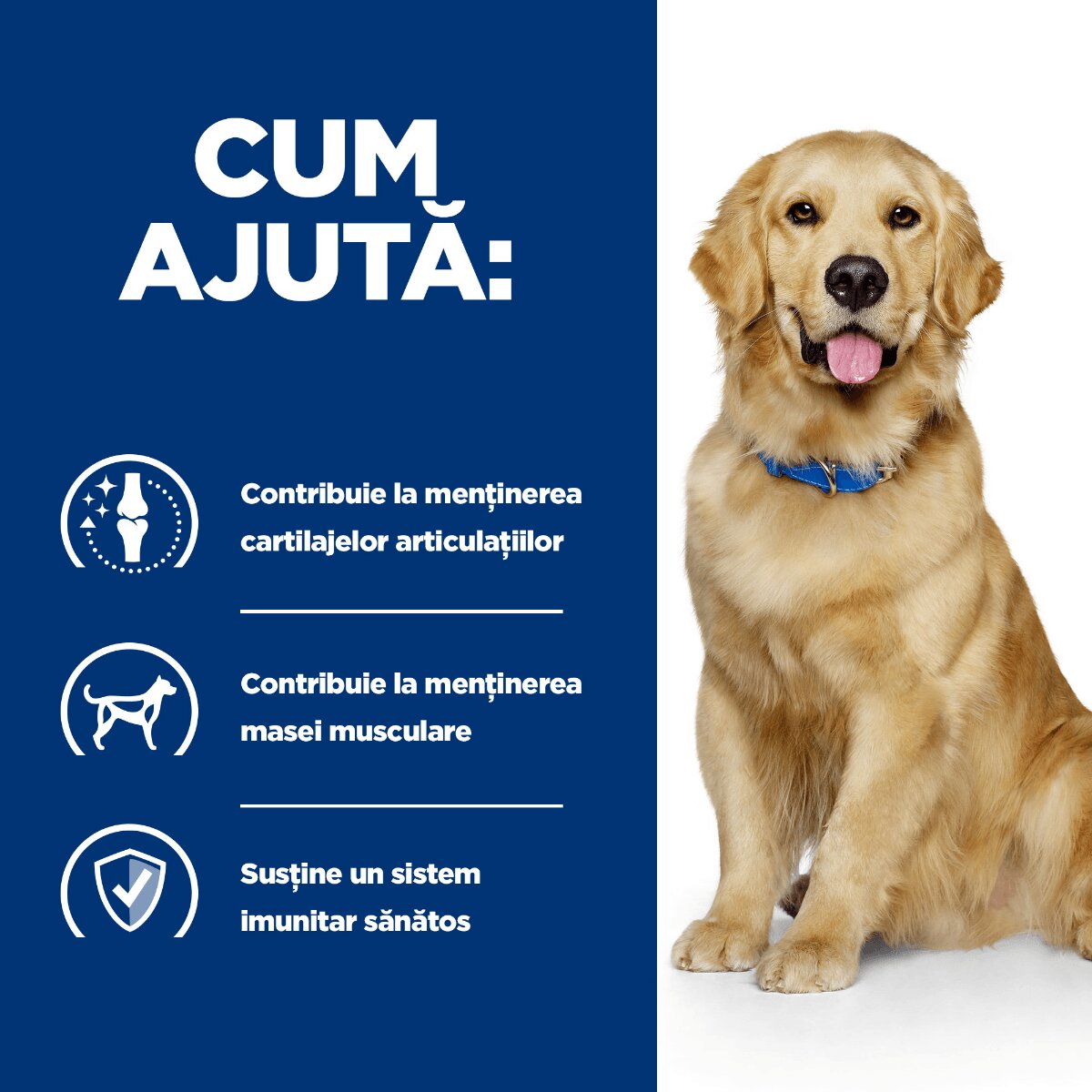 HILL'S Prescription Diet j/d Mobility Pui dietă veterinară câini conservă hrană umedă afecțiuni articulare 370g