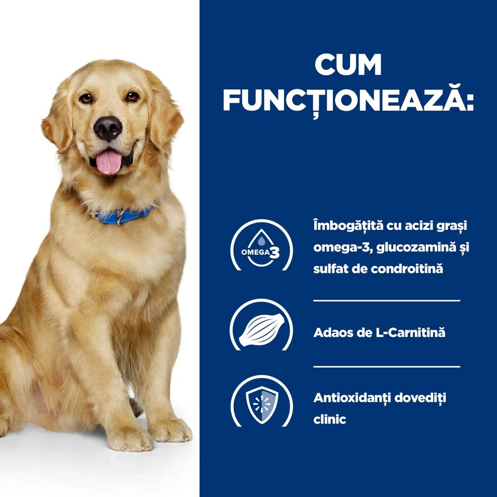 HILL'S Prescription Diet j/d Mobility Pui dietă veterinară câini hrană uscată afecțiuni articulare j/d Mobility Pui dietă veterinară câini hrană uscată sistem articular 12kg