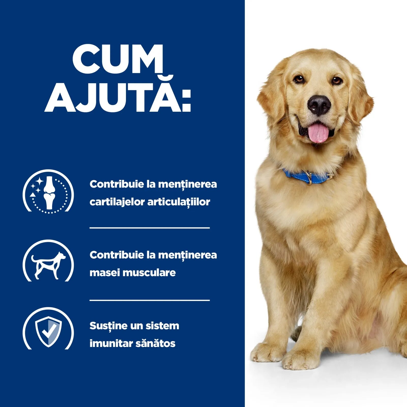 HILL'S Prescription Diet j/d Mobility Pui dietă veterinară câini hrană uscată afecțiuni articulare j/d Mobility Pui dietă veterinară câini hrană uscată sistem articular 4kg