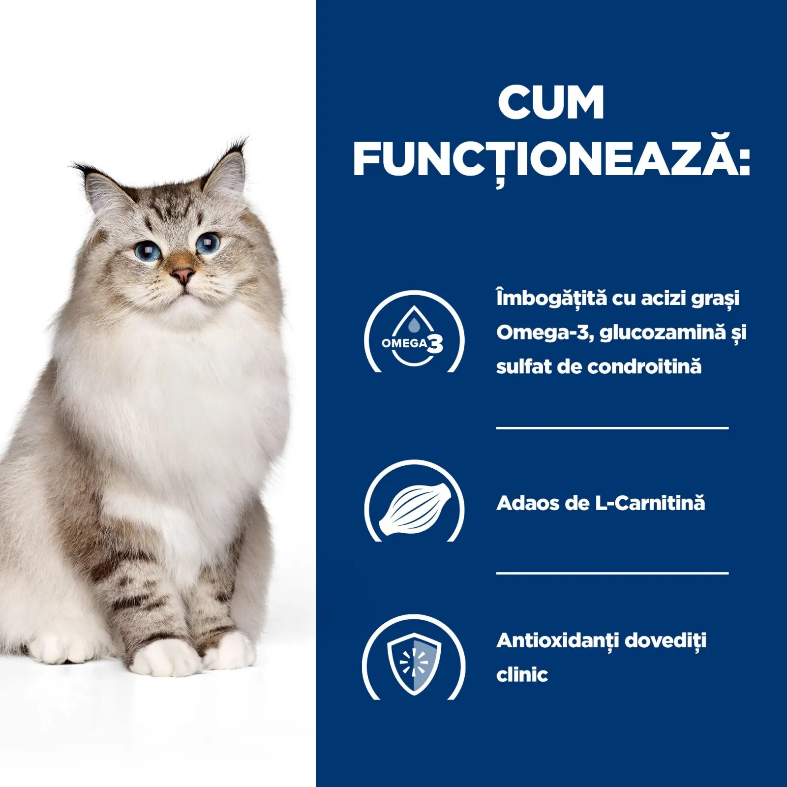 HILL'S Prescription Diet j/d Mobility Pui dietă veterinară pisici hrană uscată sistem articular 1.5kg