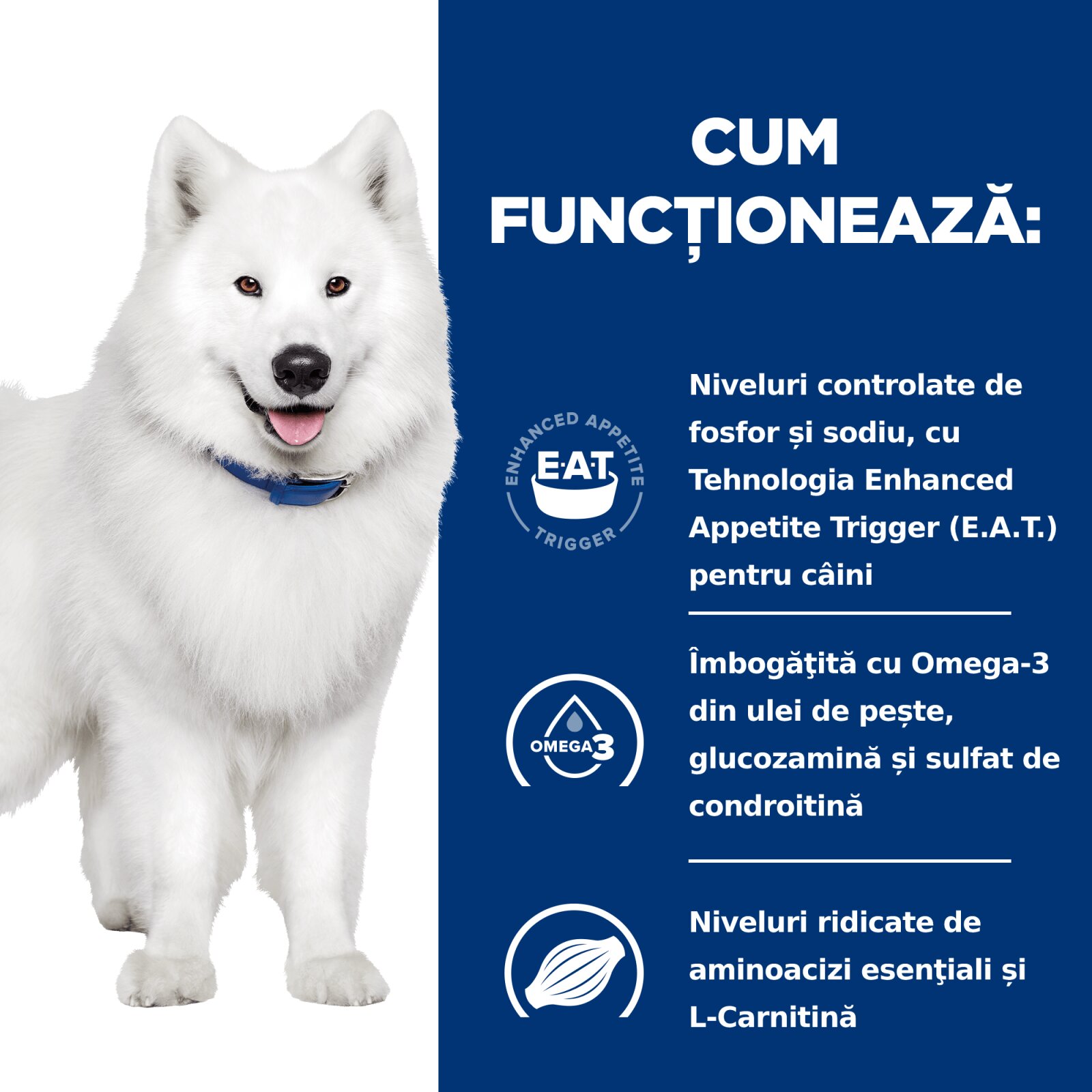 HILL'S Prescription Diet k/d+j/d Kidney Care + Mobility dietă veterinară câini hrană uscată afecțiuni renale și articulare k/d+j/d Kidney Care + Mobility dietă veterinară câini hrană uscată sistem renal sistem articular 4
