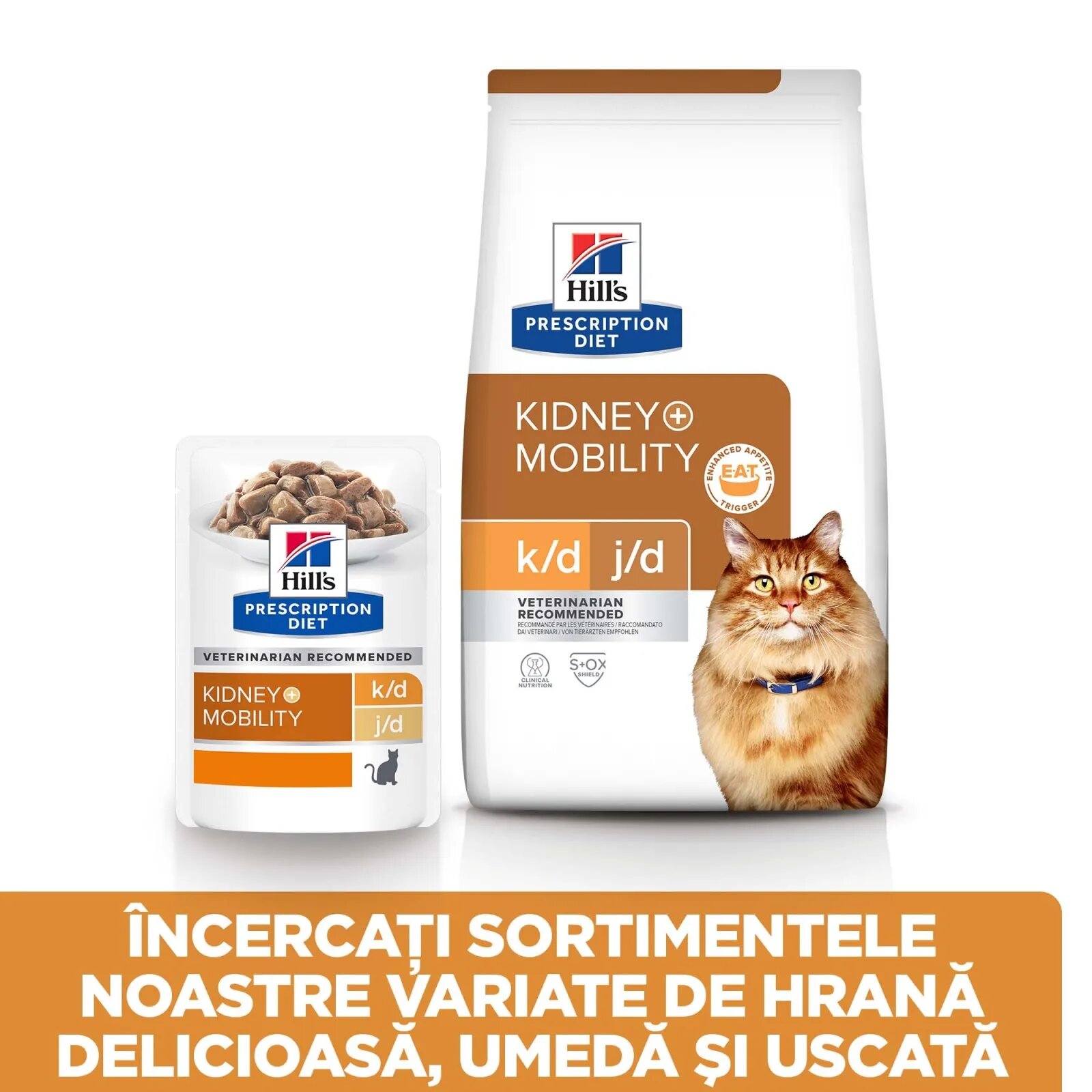HILL'S Prescription Diet k/d+j/d Kidney Care + Mobility Pui dietă veterinară pisici hrană uscată afecțiuni renale și articulare k/d+j/d Kidney Care + Mobility Pui dietă veterinară pisici hrană uscată sistem renal sistem