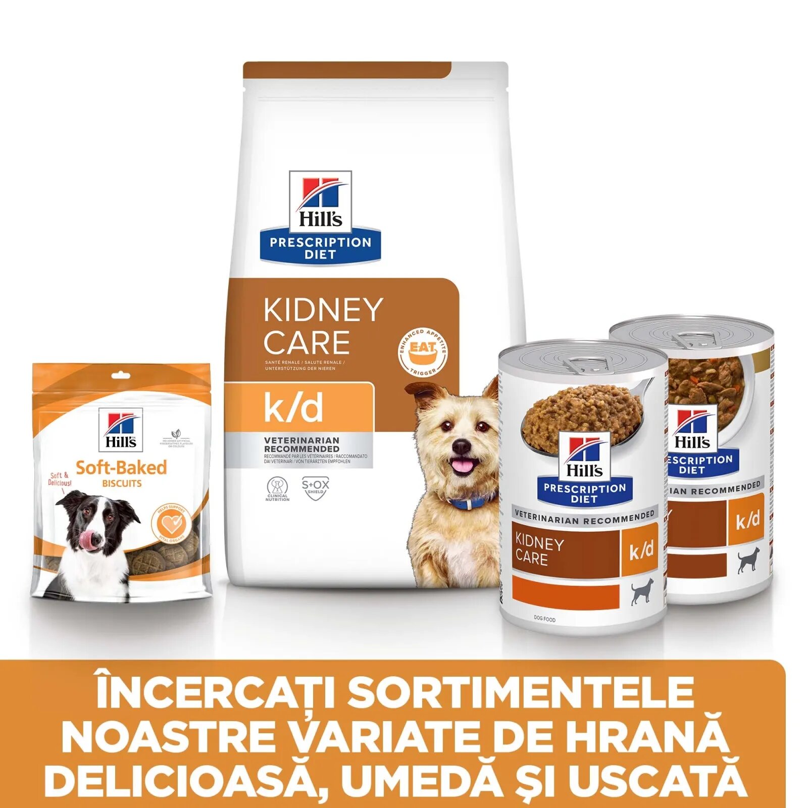HILL'S Prescription Diet k/d Kidney Care dietă veterinară câini hrană uscată afecțiuni renale k/d Kidney Care dietă veterinară câini hrană uscată sistem renal 12kg