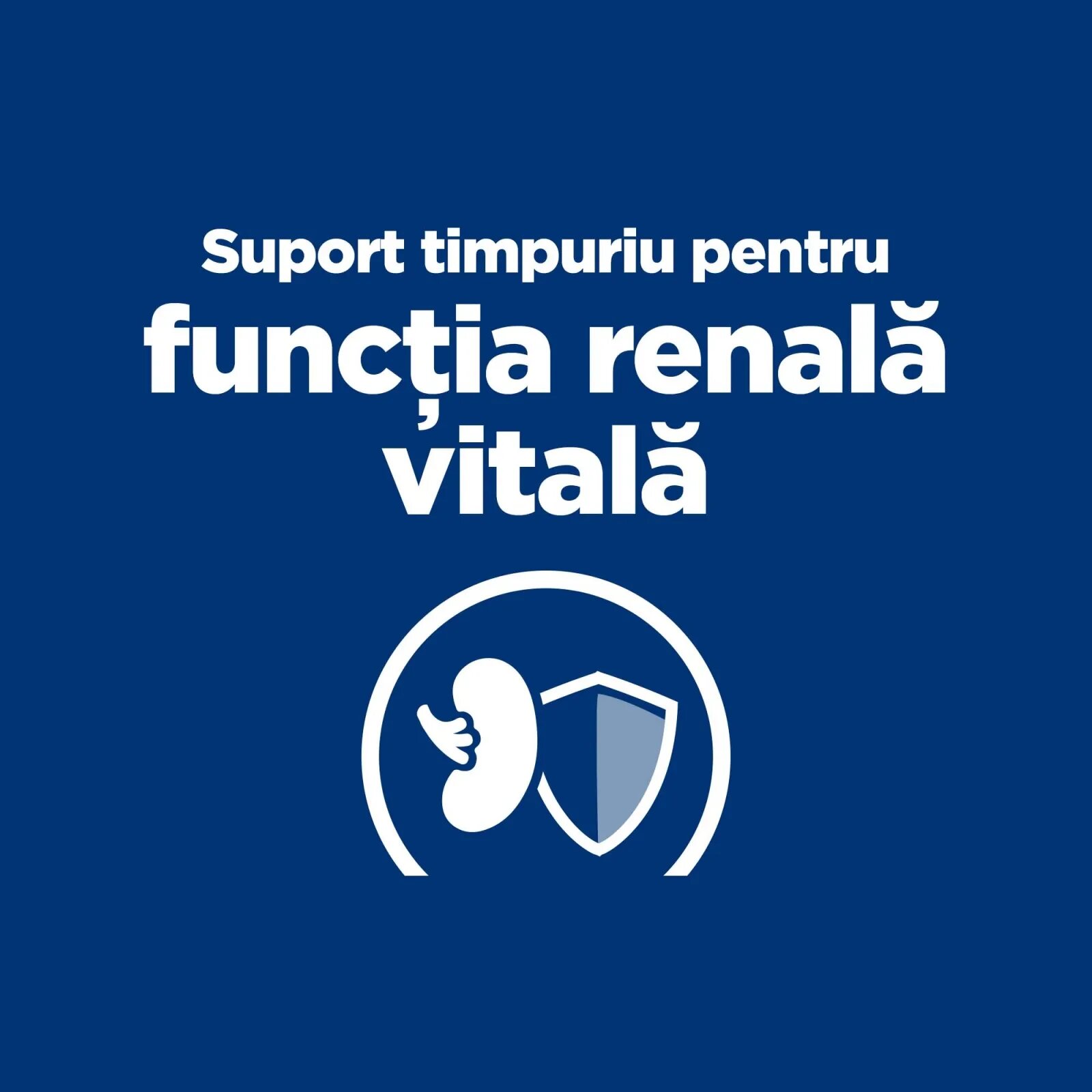 HILL'S Prescription Diet k/d Kidney Care Early Stage dietă veterinară câini hrană uscată afecțiuni renale k/d Kidney Care Early Stage dietă veterinară câini hrană uscată sistem renal 1.5kg