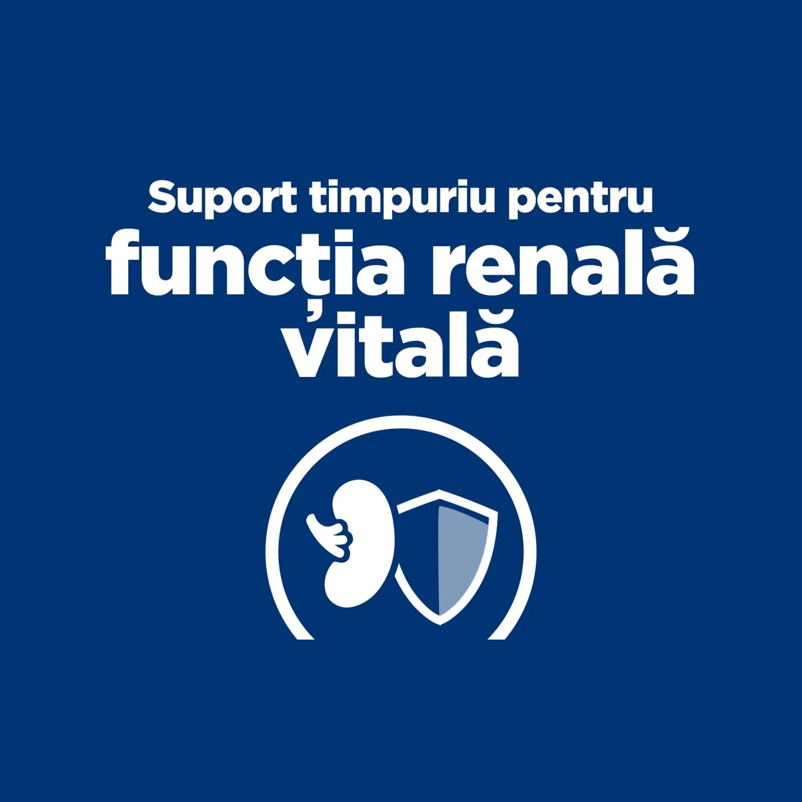 HILL'S Prescription Diet k/d Kidney Care Early Stage dietă veterinară pisici hrană uscată afecțiuni renale k/d Kidney Care Early Stage dietă veterinară pisici hrană uscată sistem renal 3kg