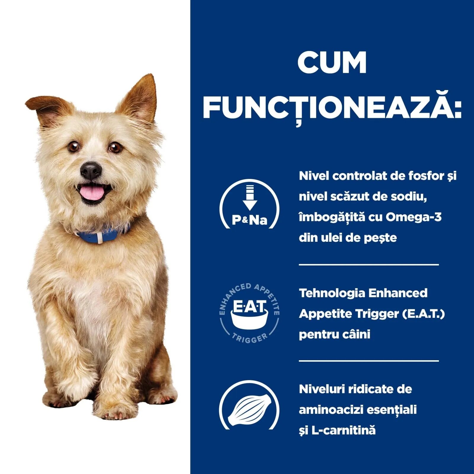HILL'S Prescription Diet k/d Kidney Care Pui cu Legume dietă veterinară câini conservă hrană umedă afecțiuni renale k/d Kidney Care Pui cu Legume dietă veterinară câini conservă hrană umedă sistem renal (în sos) 354g