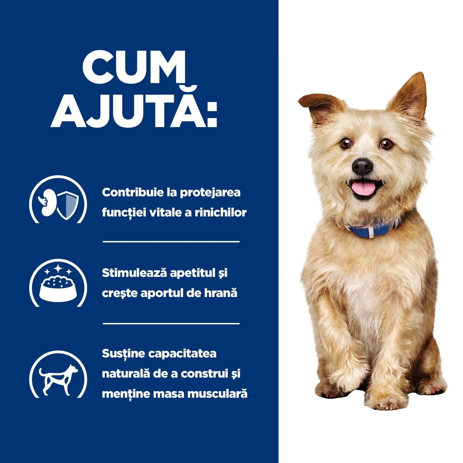HILL'S Prescription Diet k/d Kidney Care Pui cu Legume dietă veterinară câini conservă hrană umedă afecțiuni renale k/d Kidney Care Pui cu Legume dietă veterinară câini conservă hrană umedă sistem renal (în sos) 354g