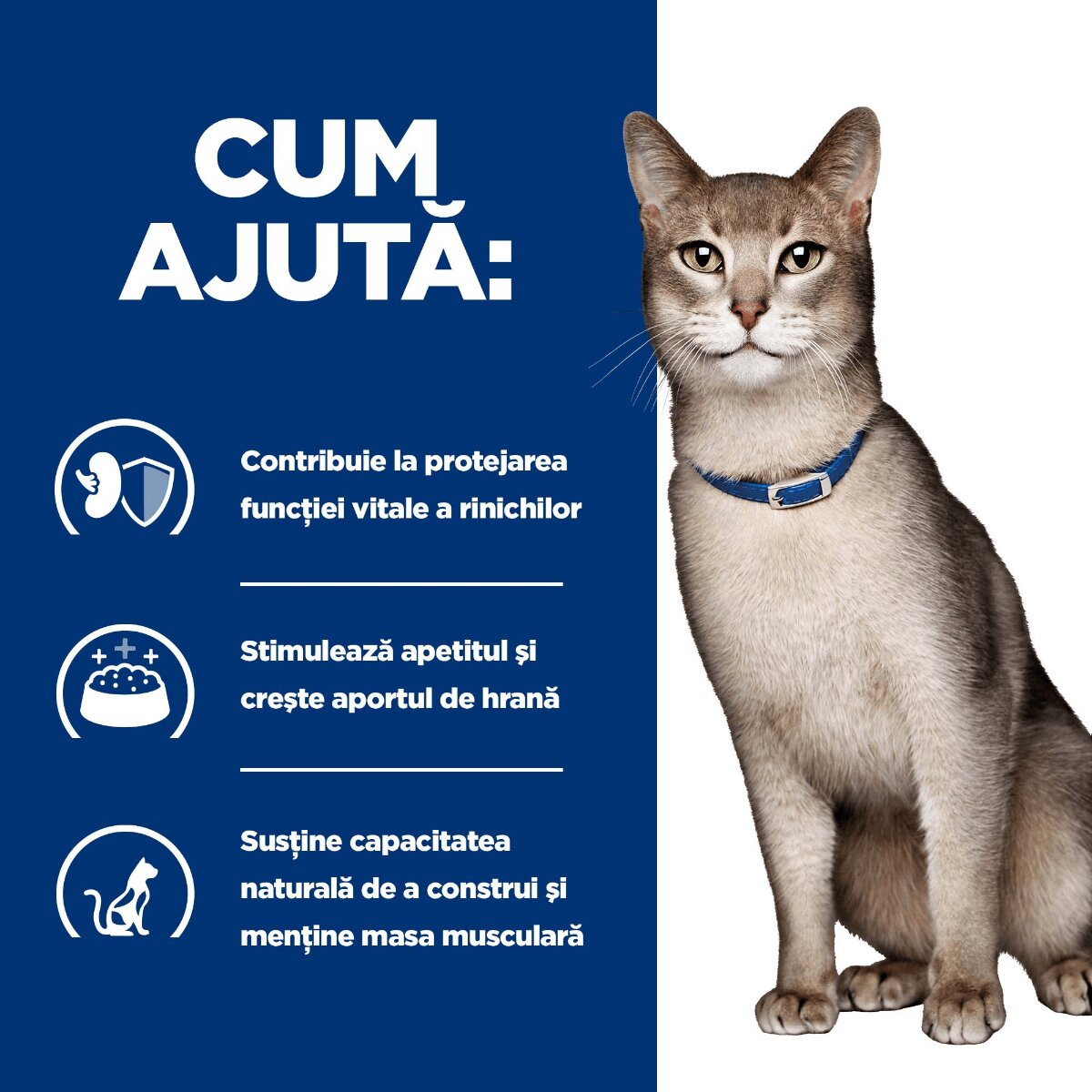 HILL'S Prescription Diet k/d Kidney Care Pui cu Legume dietă veterinară pisici conservă hrană umedă afecțiuni renale 82g