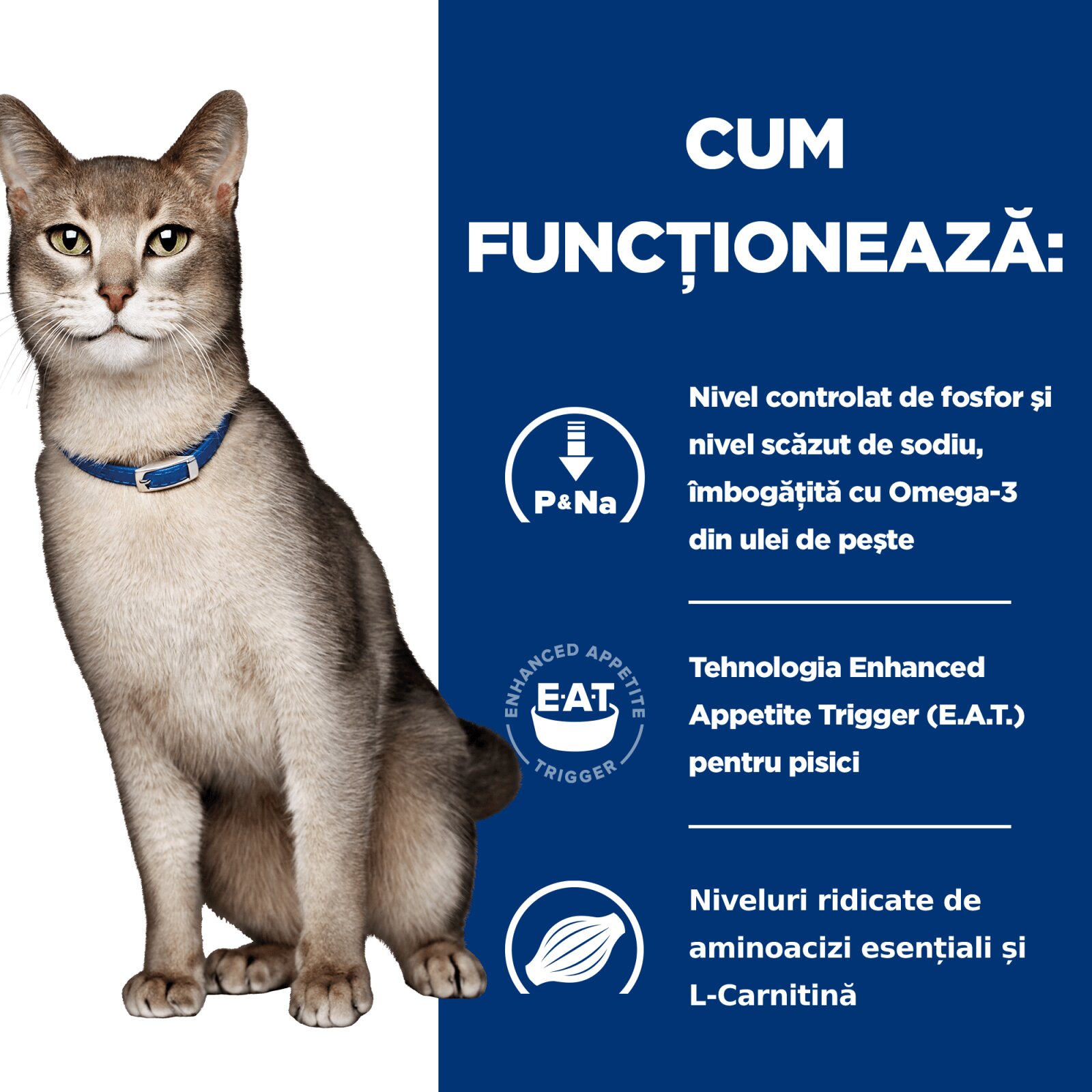 HILL'S Prescription Diet k/d Kidney Care Pui dietă veterinară pisici plic hrană umedă sistem renal (în sos) 85g x 12buc