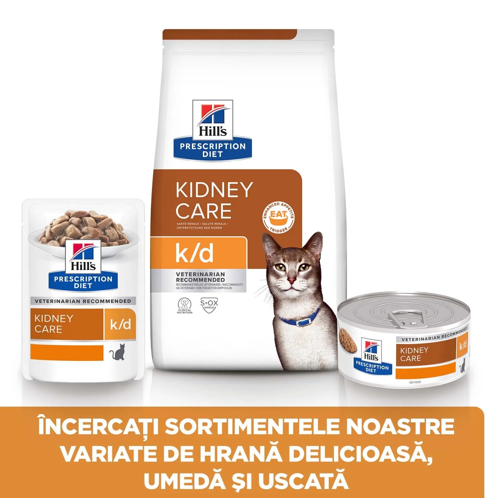HILL'S Prescription Diet k/d Kidney Care Somon dietă veterinară pisici plic hrană umedă sistem renal 85g x 12buc