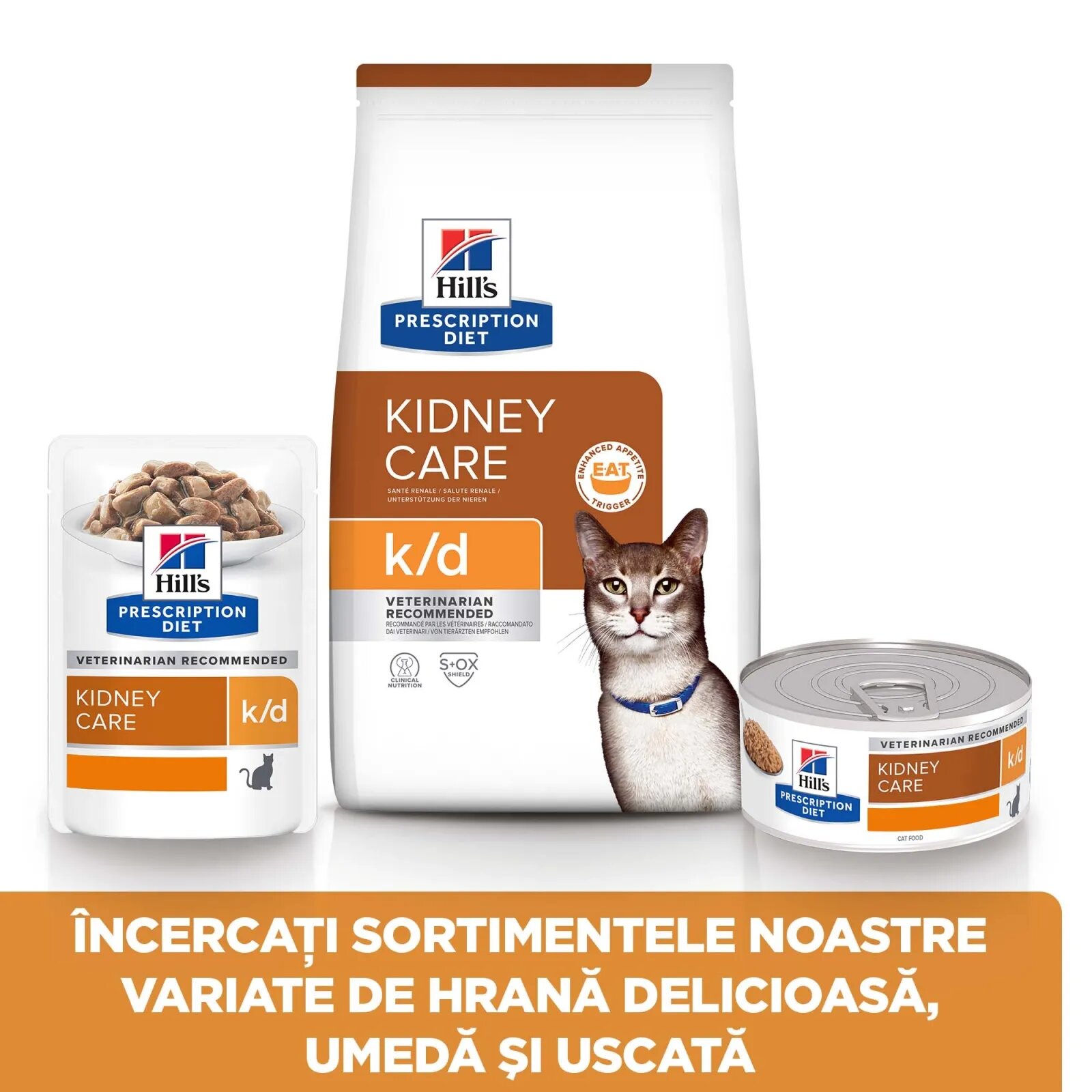 HILL'S Prescription Diet k/d Kidney Care Ton dietă veterinară pisici hrană uscată afecțiuni renale k/d Kidney Care Ton dietă veterinară pisici hrană uscată sistem renal 1.5kg