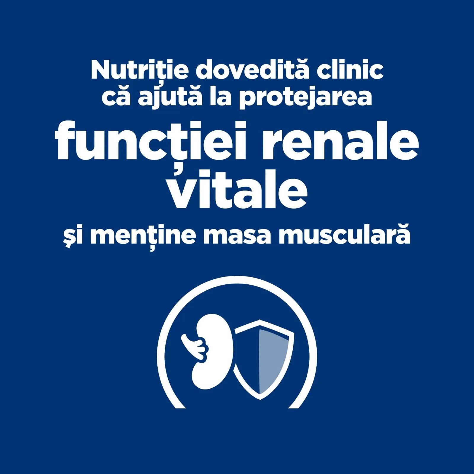 HILL'S Prescription Diet k/d Kidney Care Ton dietă veterinară pisici hrană uscată afecțiuni renale k/d Kidney Care Ton dietă veterinară pisici hrană uscată sistem renal 1.5kg