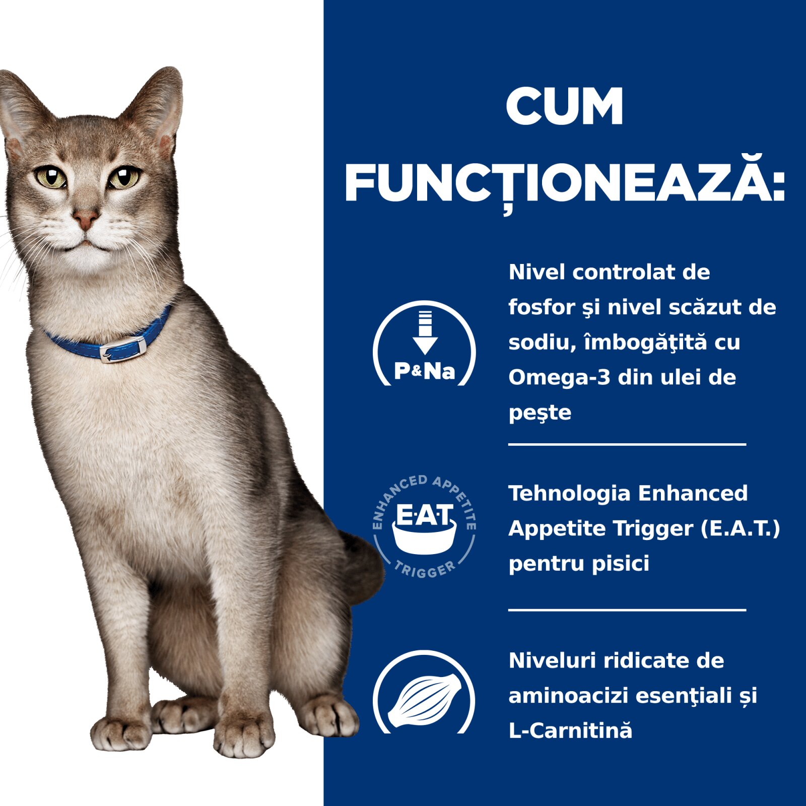 HILL'S Prescription Diet k/d Kidney Care Ton dietă veterinară pisici hrană uscată afecțiuni renale k/d Kidney Care Ton dietă veterinară pisici hrană uscată sistem renal 3kg