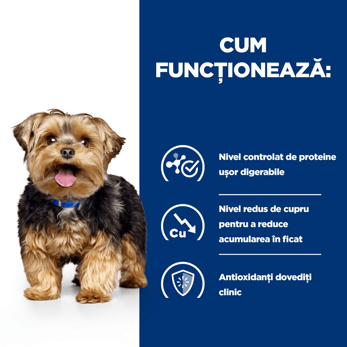 HILL'S Prescription Diet l/d dietă veterinară câini conservă hrană umedă afecțiuni hepatice 370g