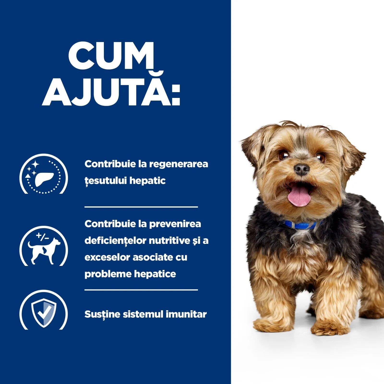 HILL'S Prescription Diet l/d dietă veterinară câini hrană uscată afecțiuni hepatice l/d Liver Care dietă veterinară câini hrană uscată sistem hepatic 1.5kg