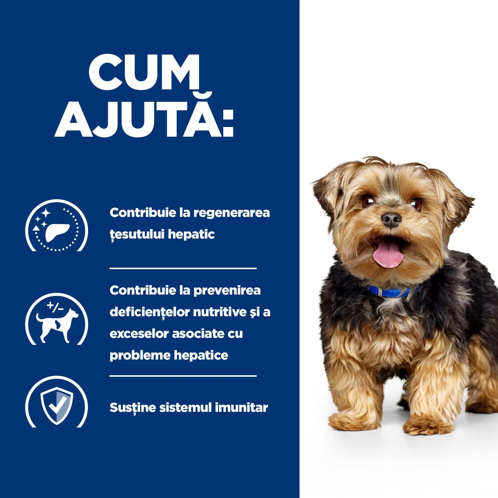 HILL'S Prescription Diet l/d dietă veterinară câini hrană uscată afecțiuni hepatice l/d Liver Care dietă veterinară câini hrană uscată sistem hepatic 10kg