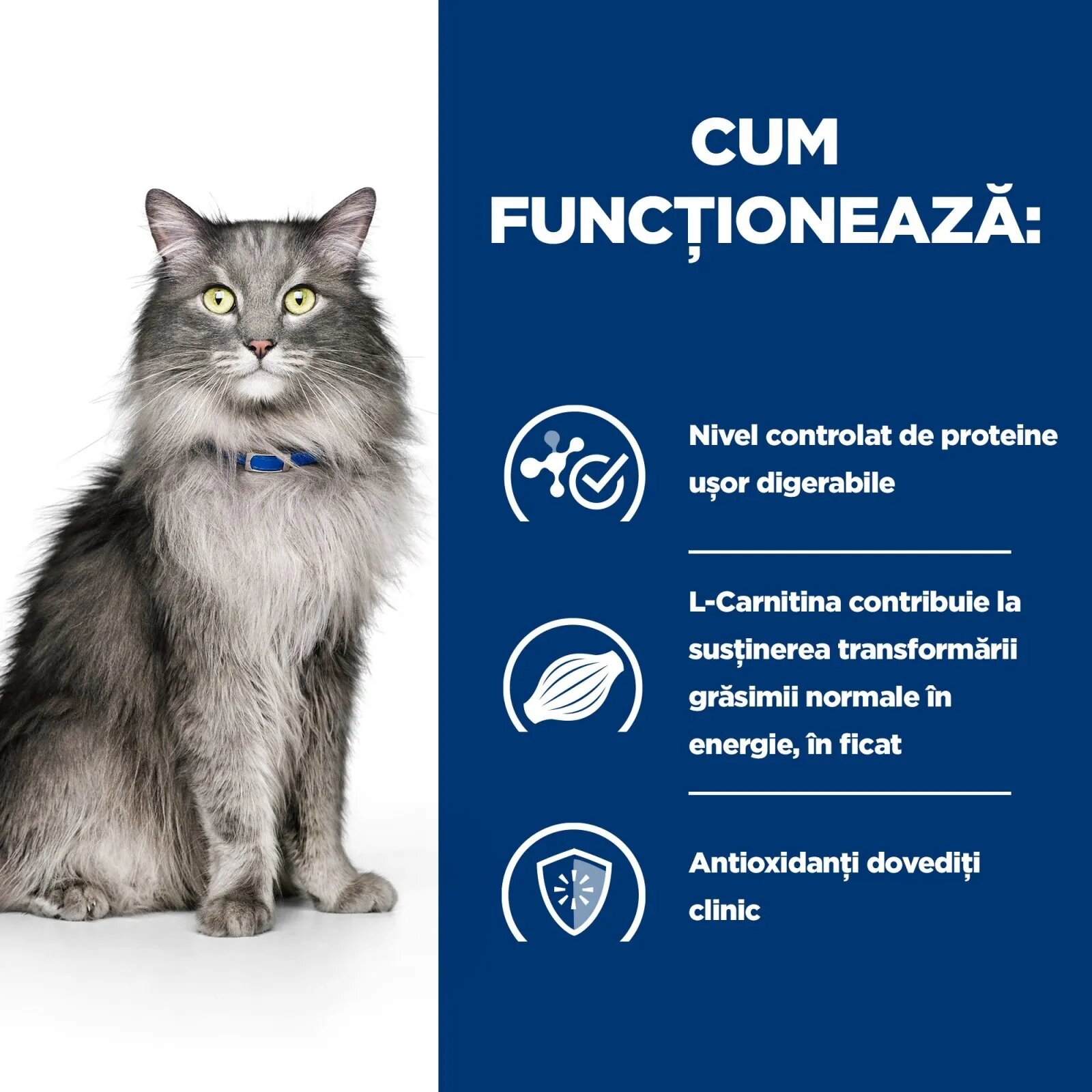 HILL'S Prescription Diet l/d Liver Care Pui dietă veterinară pisici hrană uscată sistem hepatic 1.5kg