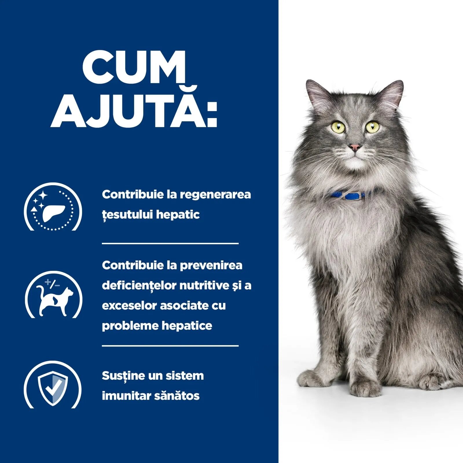 HILL'S Prescription Diet l/d Liver Care Pui dietă veterinară pisici hrană uscată sistem hepatic 1.5kg