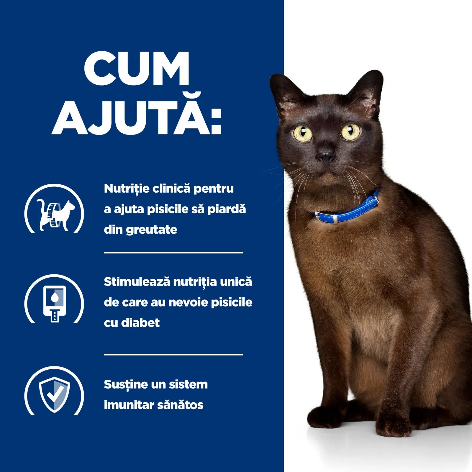 HILL'S Prescription Diet m/d Diabetes Care Pui dietă veterinară pisici hrană uscată afecțiuni metabolice (diabet) m/d Diabetes Care Pui dietă veterinară pisici hrană uscată metabolism (obezitate si diabet) 1.5kg