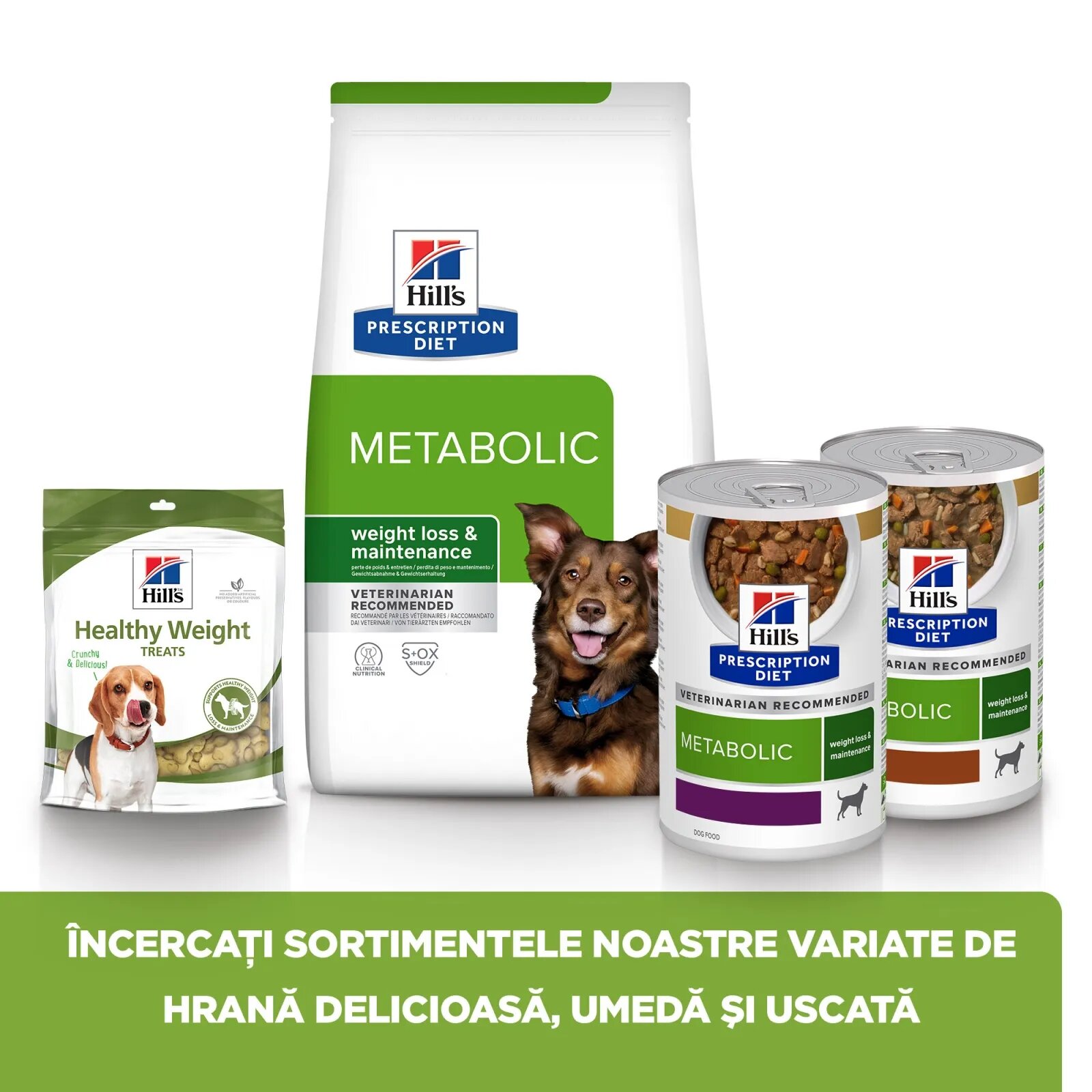 HILL'S Prescription Diet Metabolic Miel cu Orez dietă veterinară câini hrană uscată afecțiuni metabolice (obezitate) Metabolic Miel cu Orez dietă veterinară câini hrană uscată metabolism (obezitate si diabet) 1.5kg