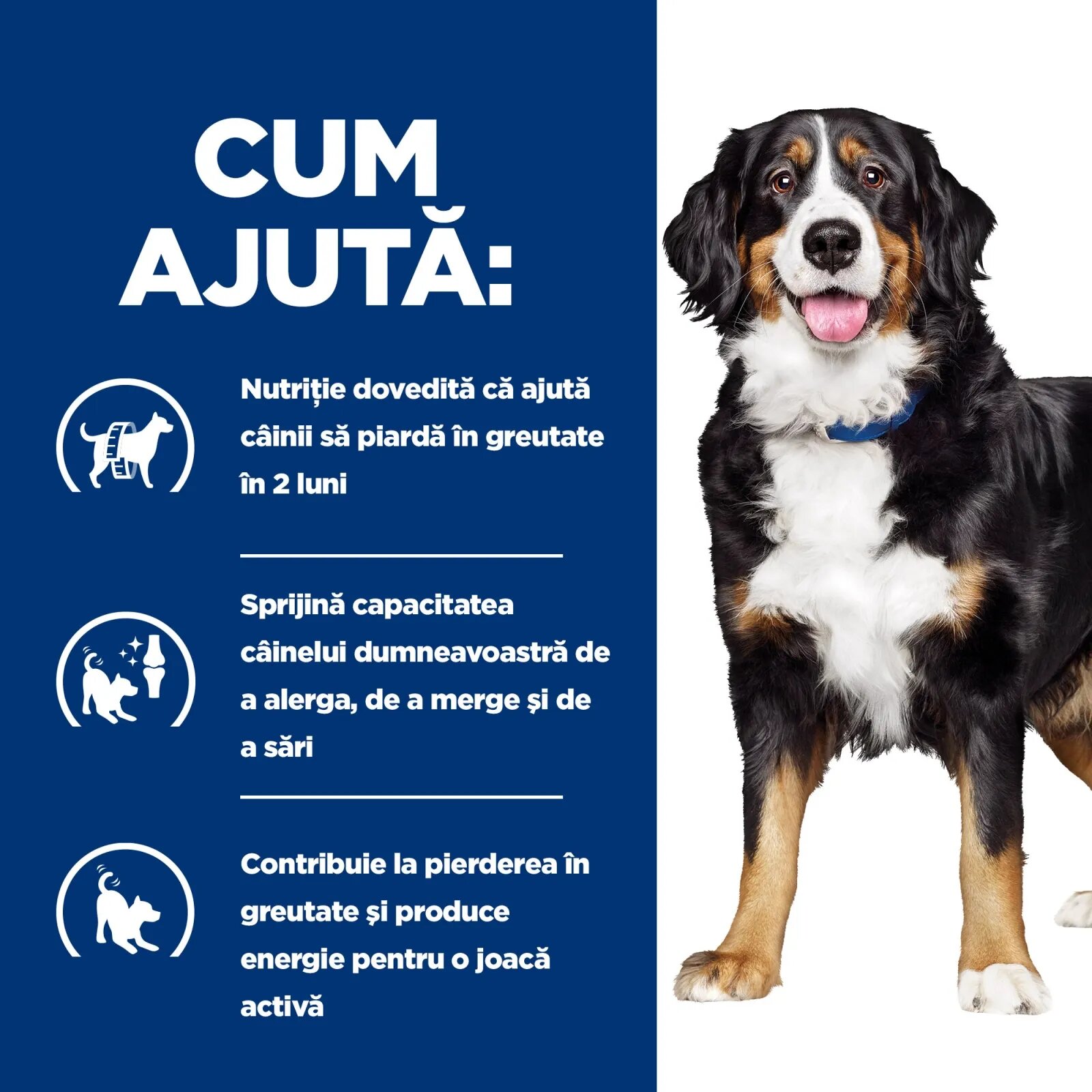 HILL'S Prescription Diet Metabolic + Mobility Pui dietă veterinară câini hrană uscată afecțiuni metabolice (obezitate) și afecțiuni articulare Metabolic + Mobility Pui dietă veterinară câini hrană uscată metabolism (obezi
