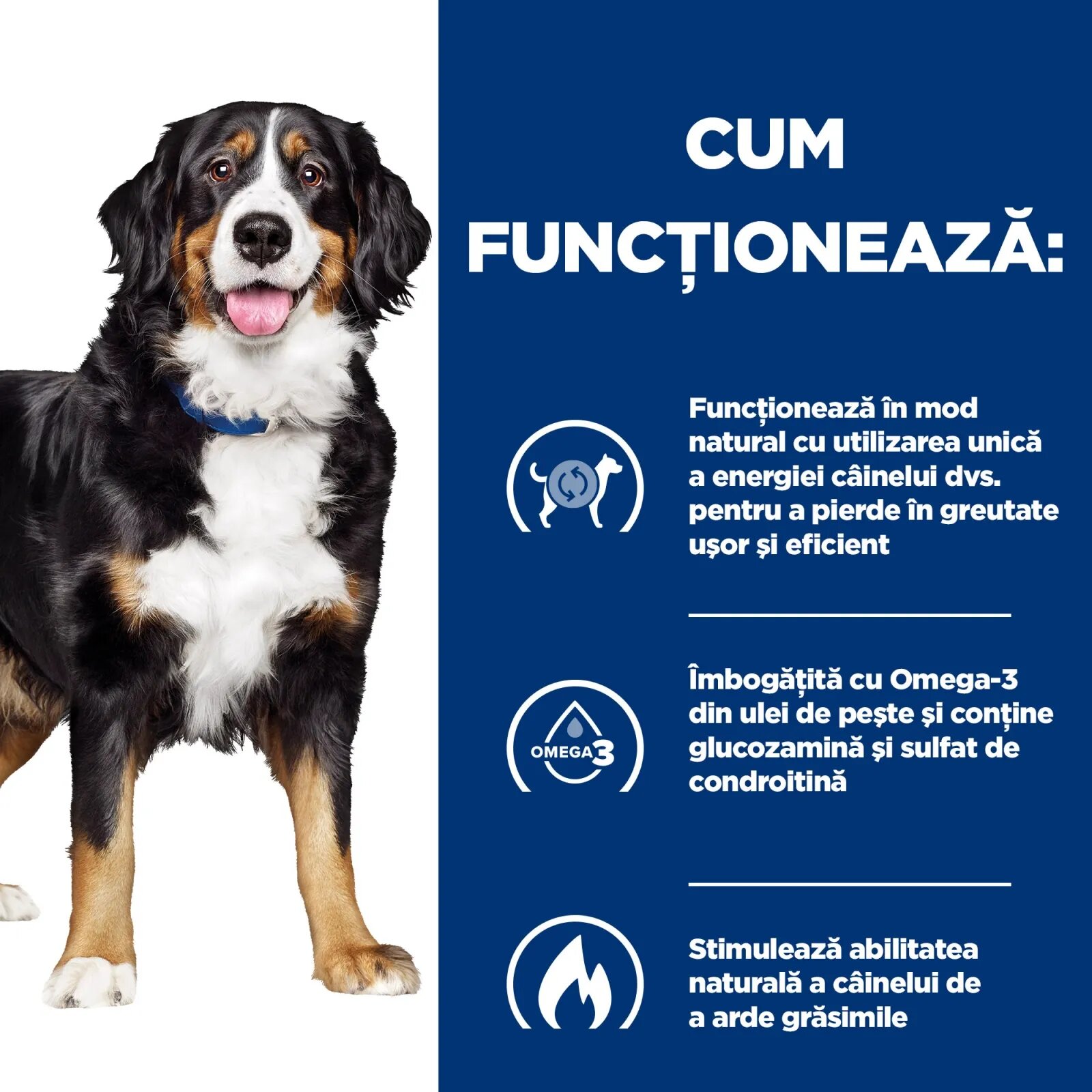 HILL'S Prescription Diet Metabolic + Mobility Pui dietă veterinară câini hrană uscată afecțiuni metabolice (obezitate) și afecțiuni articulare Metabolic + Mobility Pui dietă veterinară câini hrană uscată metabolism (obezi