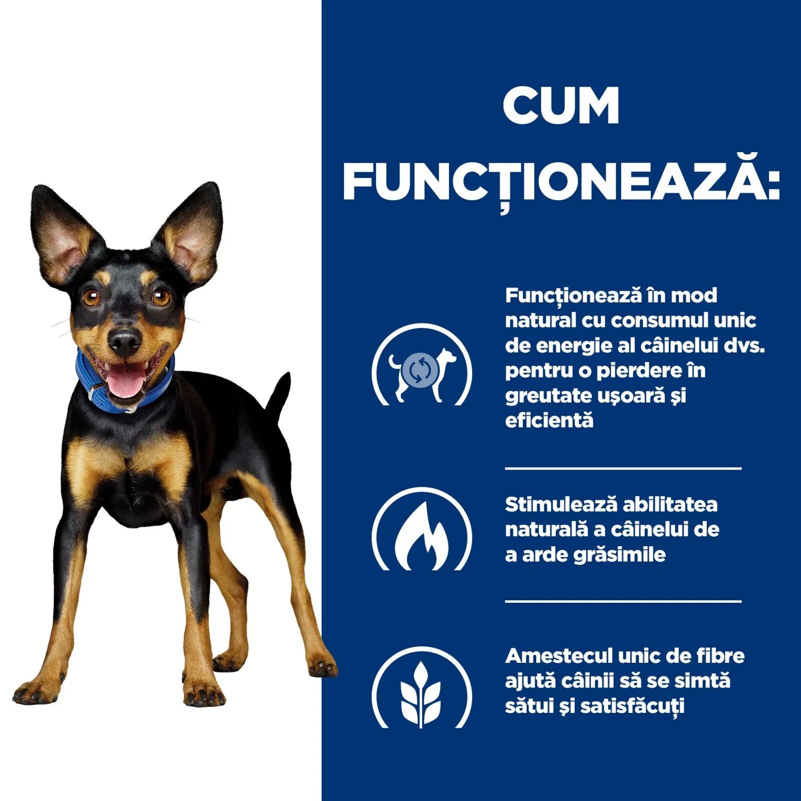 HILL'S Prescription Diet Metabolic Pui cu Legume dietă veterinară câini conservă hrană umedă afecțiuni metabolice (obezitate) Metabolic Mini Pui cu Legume dietă veterinară câini conservă hrană umedă metabolism (obezitate