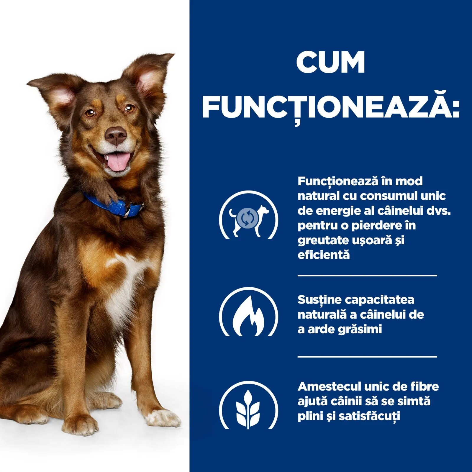 HILL'S Prescription Diet Metabolic Pui dietă veterinară câini hrană uscată afecțiuni metabolice (obezitate) Metabolic Pui dietă veterinară câini hrană uscată metabolism (obezitate si diabet) 1.5kg