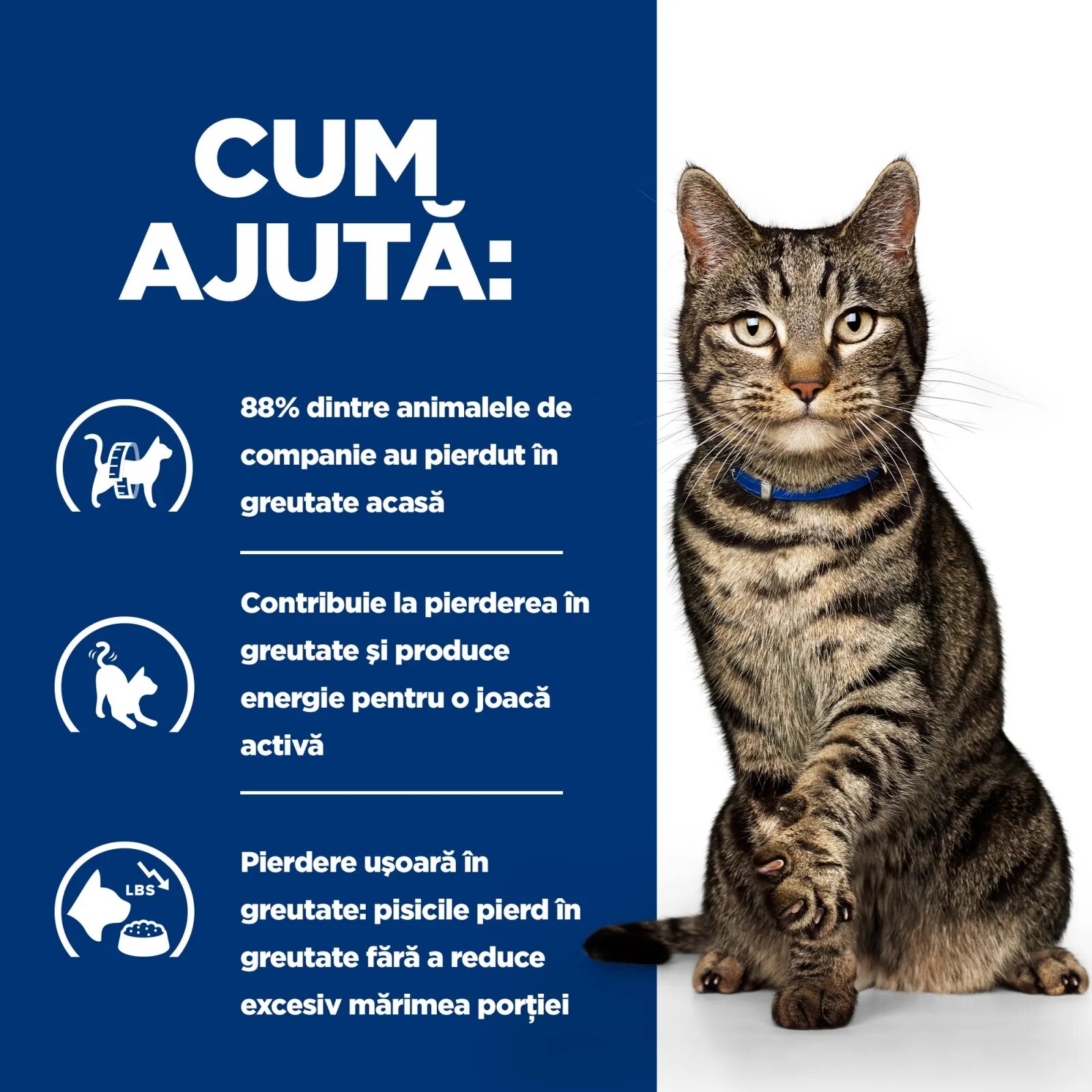 HILL'S Prescription Diet Metabolic Pui dietă veterinară pisici hrană uscată afecțiuni metabolice (obezitate) Metabolic Pui dietă veterinară pisici hrană uscată metabolism (obezitate si diabet) 1.5kg