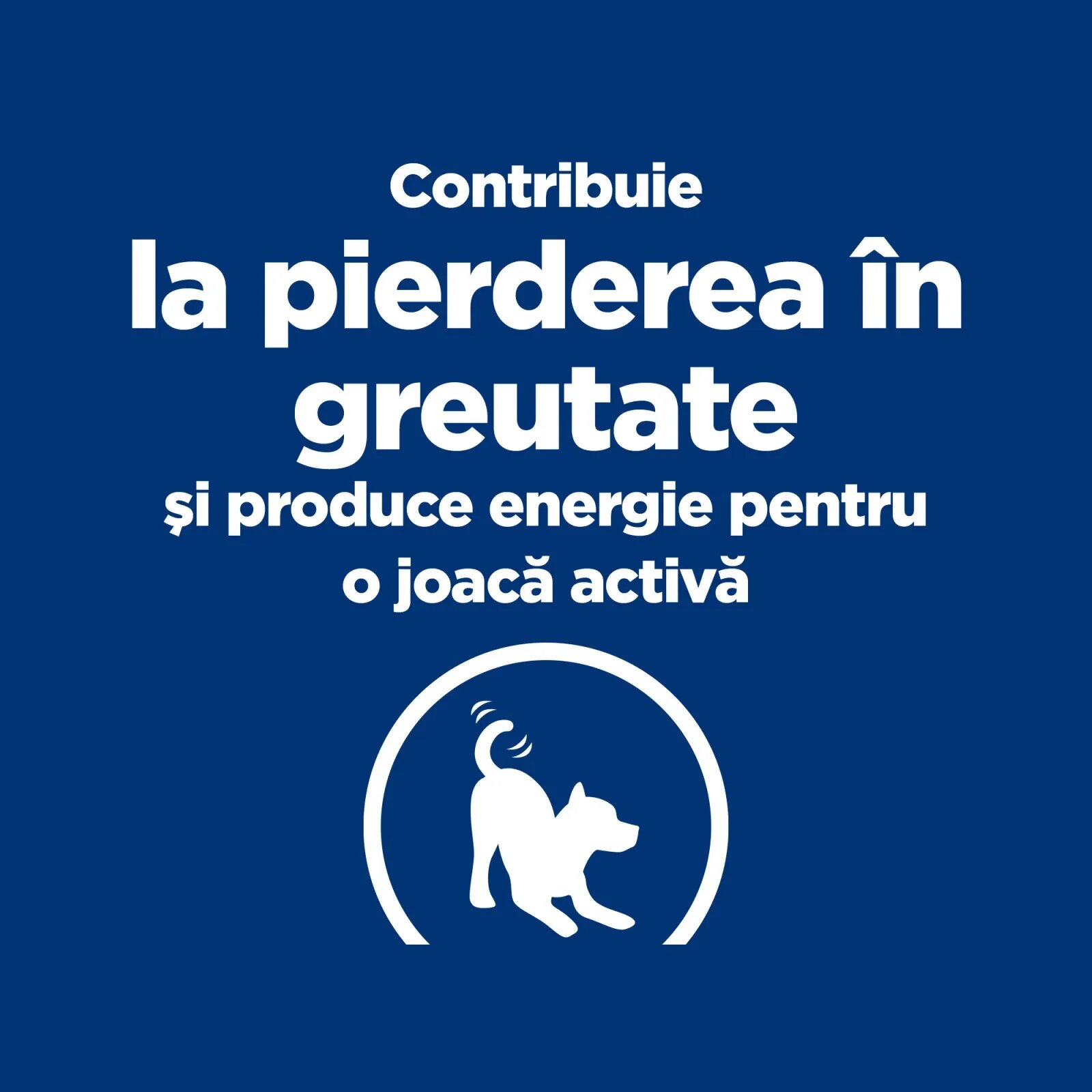 HILL'S Prescription Diet Metabolic + Weight Mini dietă veterinară câini hrană uscată afecțiuni metabolice (obezitate) Metabolic + Mobility Mini dietă veterinară câini hrană uscată metabolism (obezitate si diabet) sistem ar
