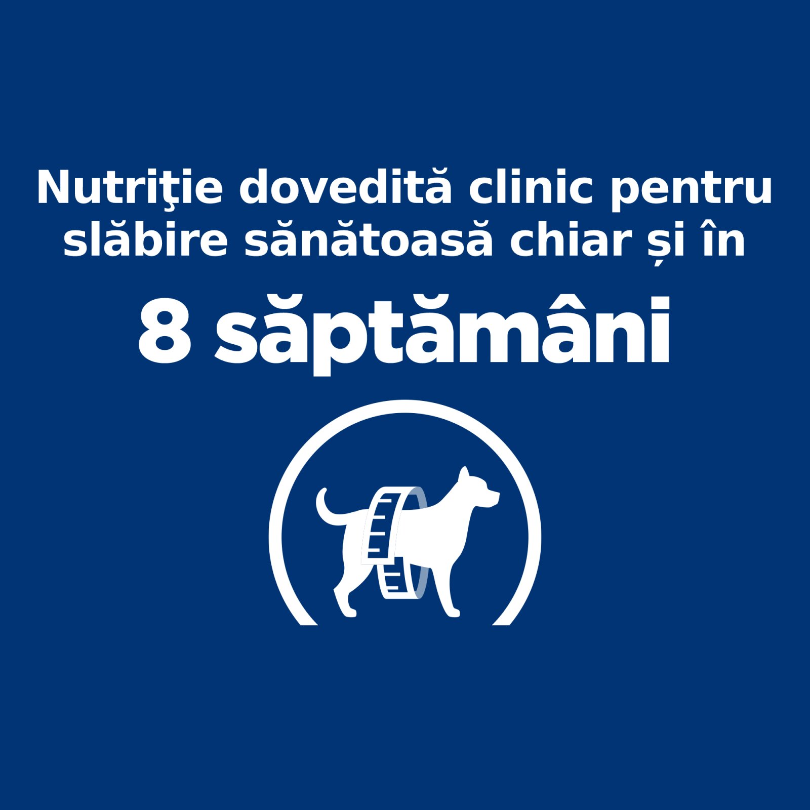 HILL'S Prescription Diet r/d Weight Loss Pui dietă veterinară câini hrană uscată scădere în greutate r/d Weight Loss Pui dietă veterinară câini hrană uscată metabolism (obezitate si diabet) 10kg