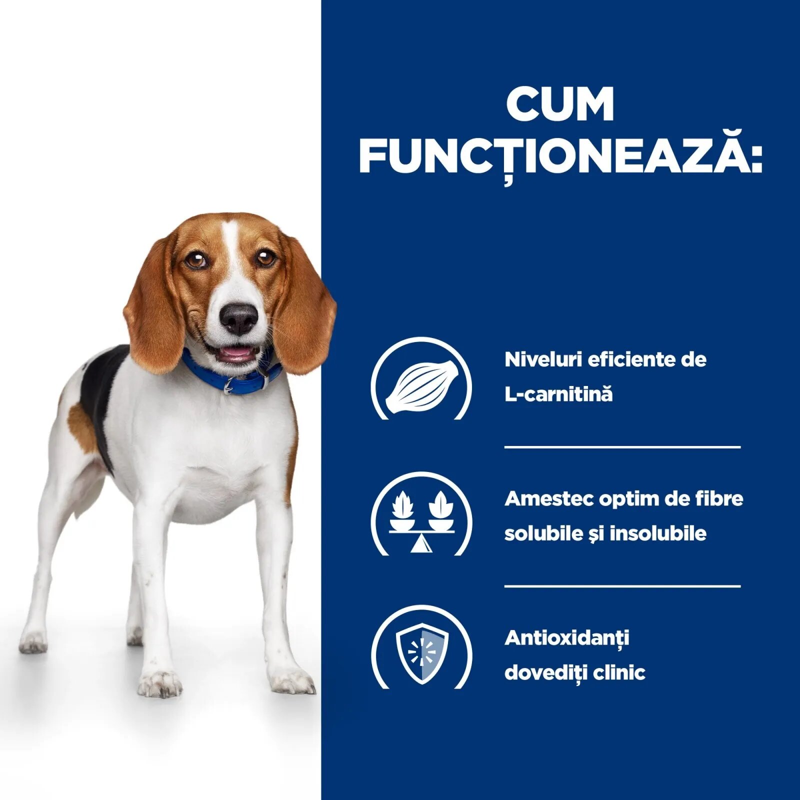 HILL'S Prescription Diet r/d Weight Loss Pui dietă veterinară câini hrană uscată scădere în greutate r/d Weight Loss Pui dietă veterinară câini hrană uscată metabolism (obezitate si diabet) 4kg