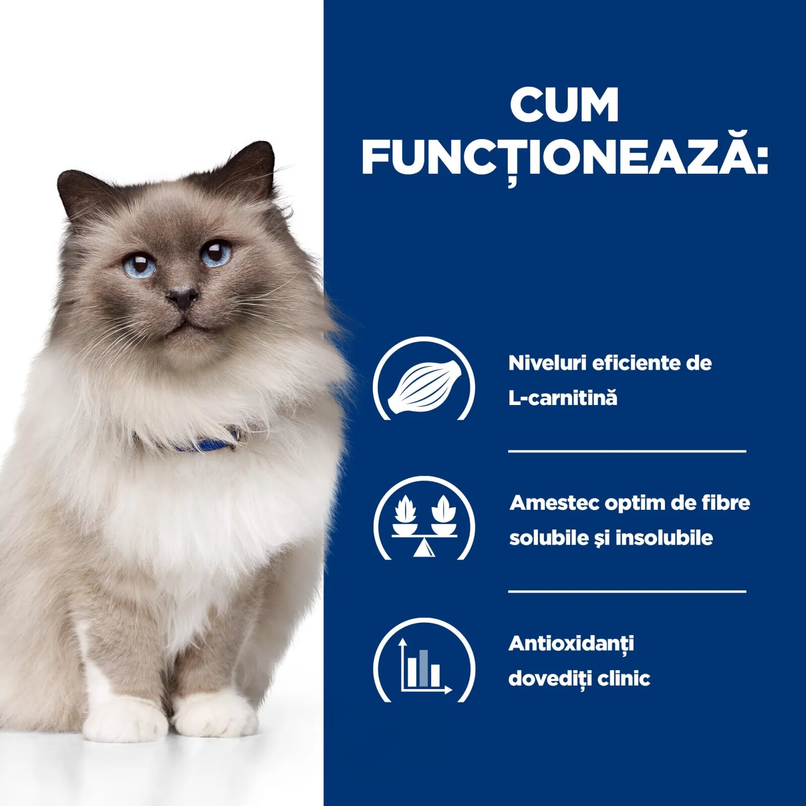 HILL'S Prescription Diet r/d Wheight Loss Pui dietă veterinară pisici hrană uscată scădere în greutate r/d Wheight Loss Pui dietă veterinară pisici hrană uscată metabolism (obezitate si diabet) 1.5kg