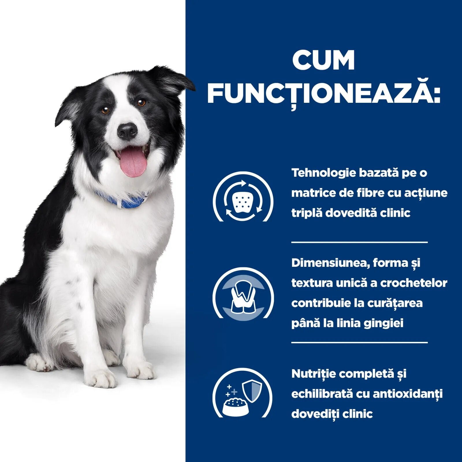 HILL'S Prescription Diet t/d Dental Care Pui dietă veterinară câini hrană uscată afecțiuni dentare t/d Dental Care Pui dietă veterinară câini hrană uscată sensibilități dentare 4kg