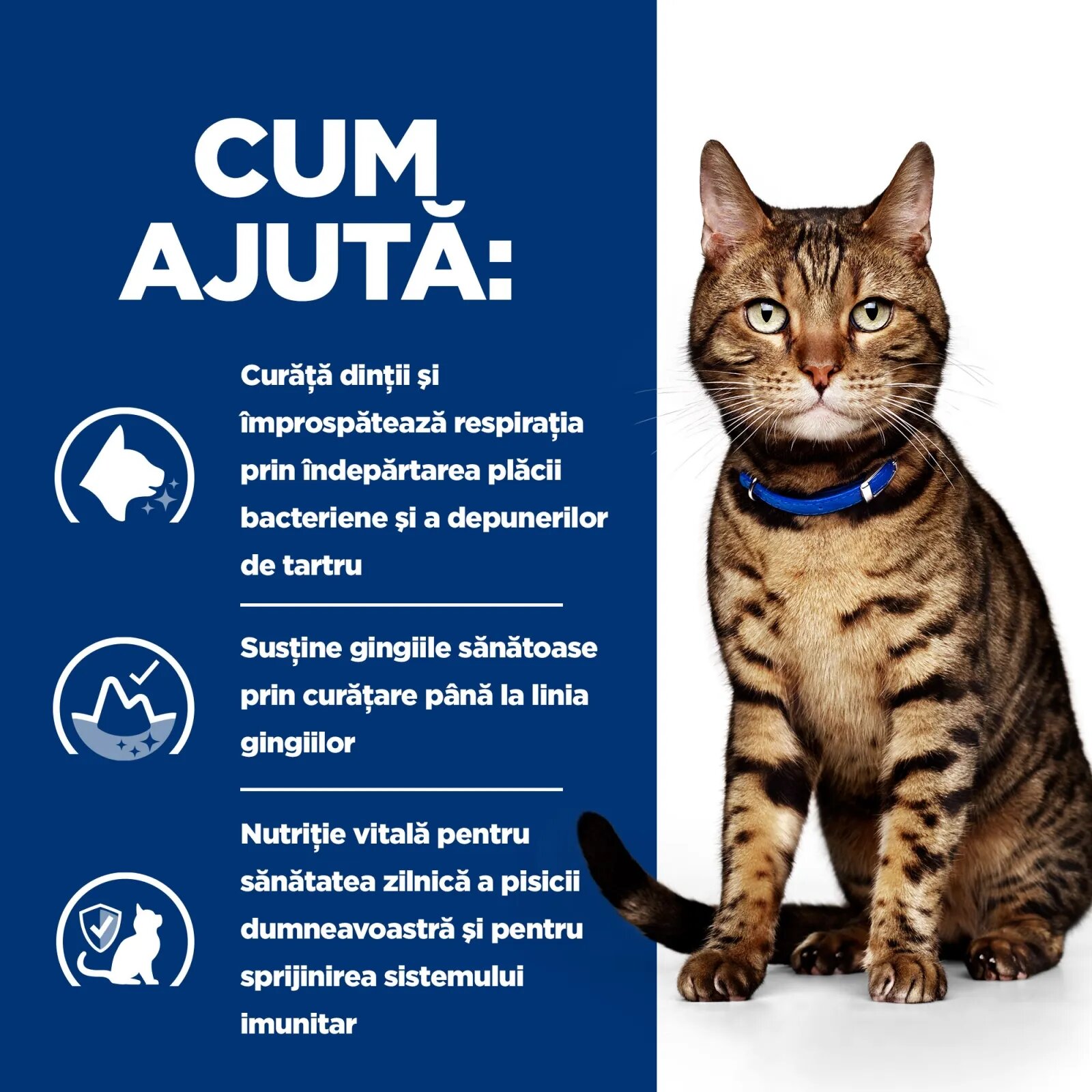 HILL'S Prescription Diet t/d Dental Care Pui dietă veterinară pisici hrană uscată afecțiuni dentare t/d Dental Care Pui dietă veterinară pisici hrană uscată sensibilități dentare 3kg