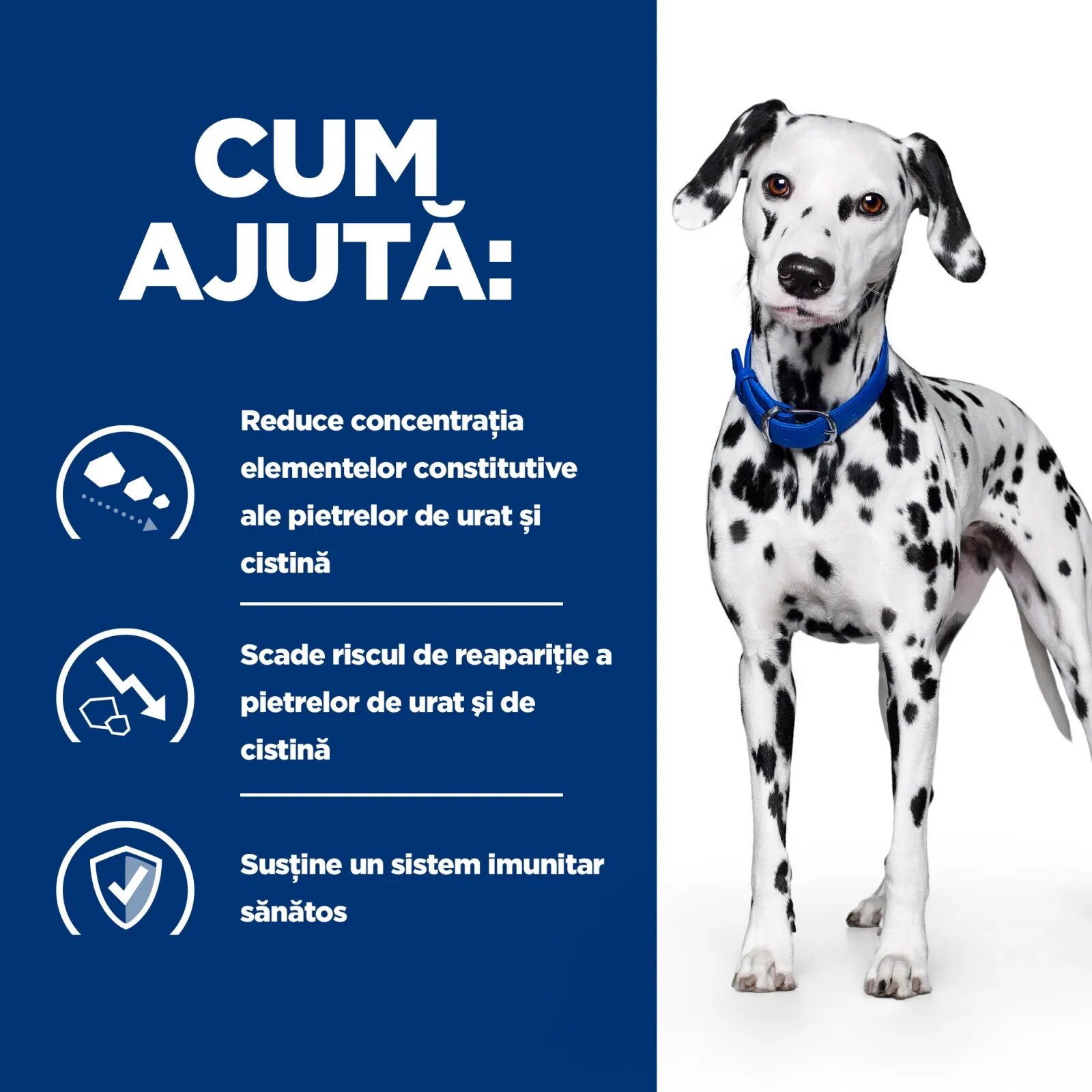 HILL'S Prescription Diet u/d Urinary Care dietă veterinară câini conservă hrană umedă sistem urinar 370g