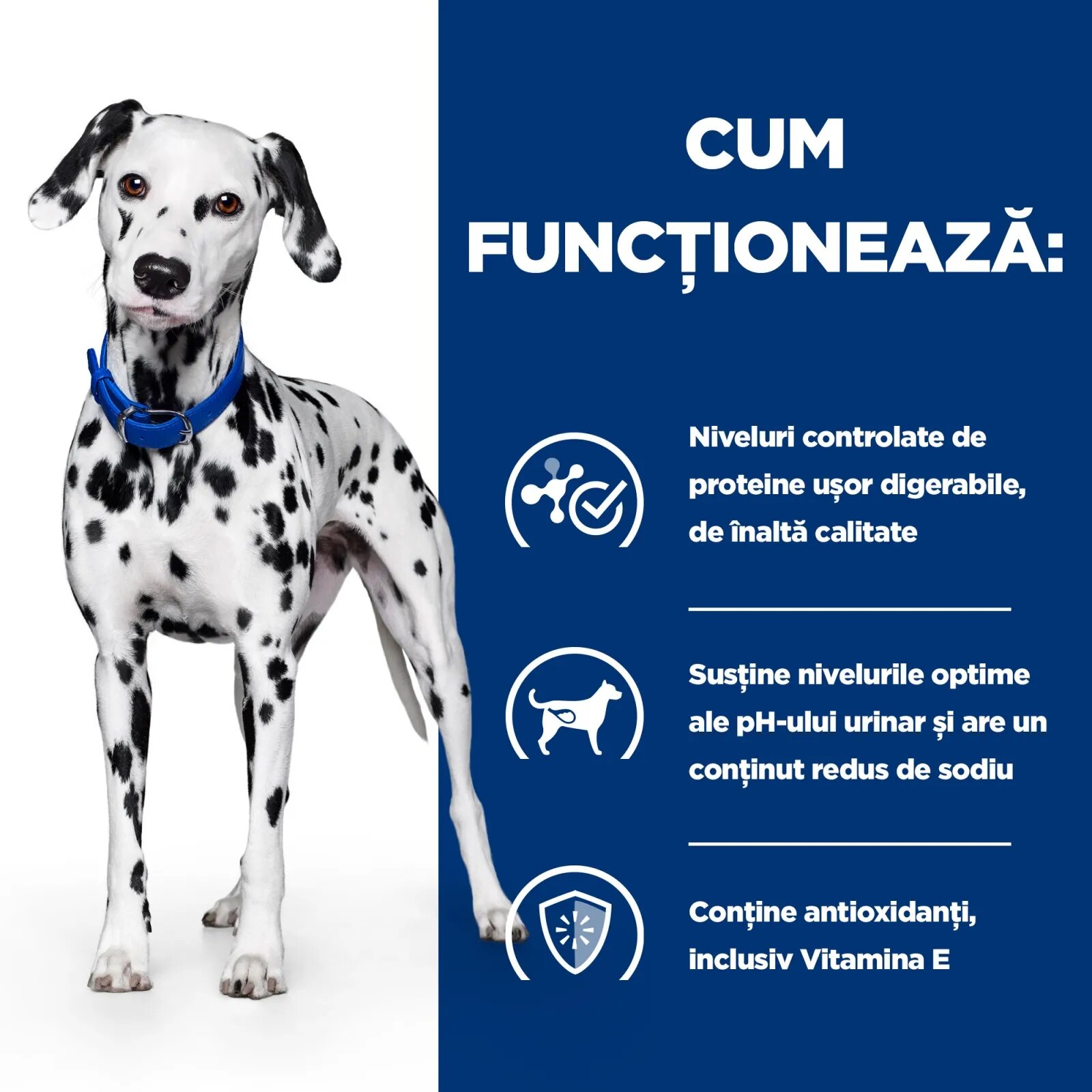 HILL'S Prescription Diet u/d Urinary Care dietă veterinară câini conservă hrană umedă sistem urinar 370g