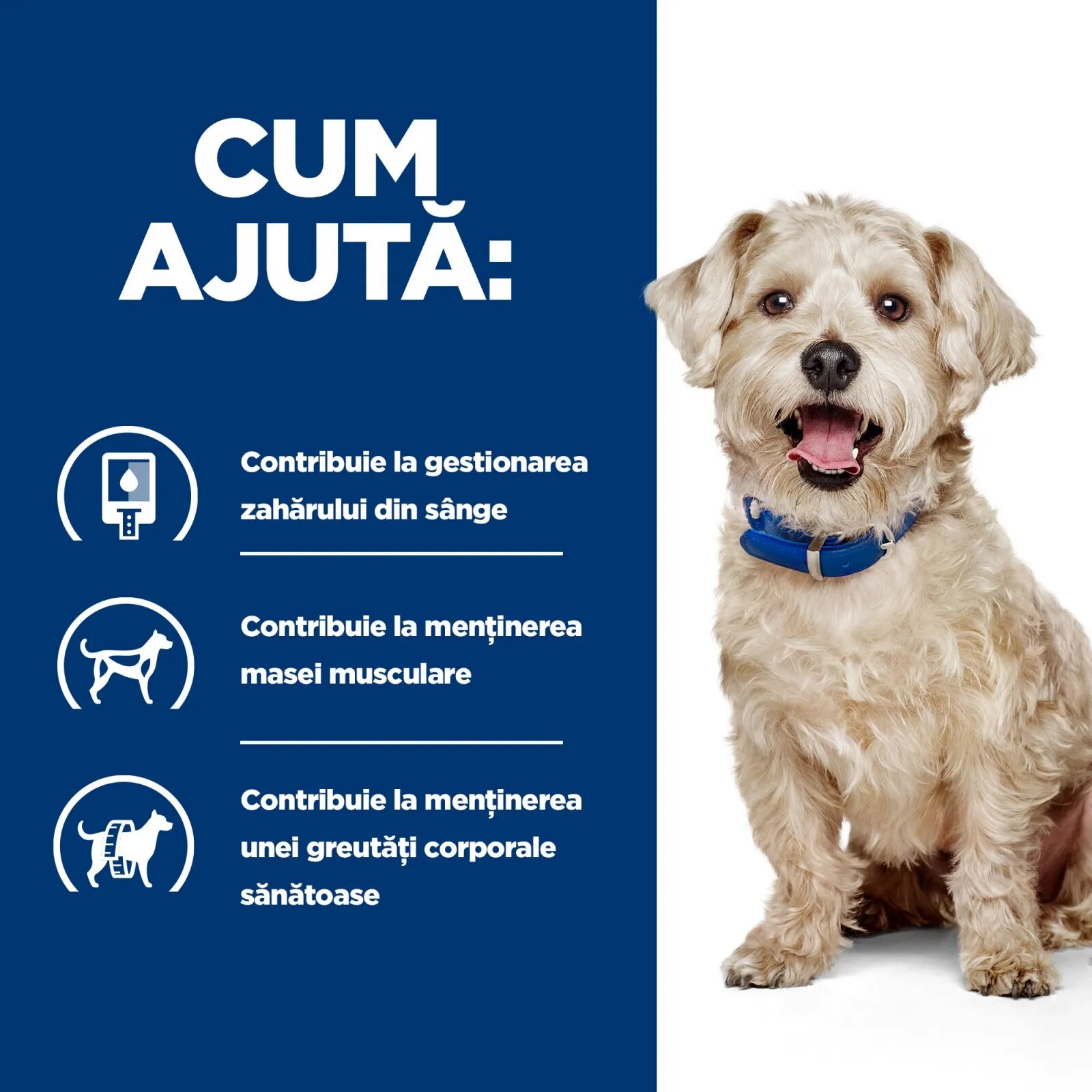HILL'S Prescription Diet w/d Diabetes Care Pui dietă veterinară câini conservă hrană umedă metabolism (obezitate si diabet) 370g