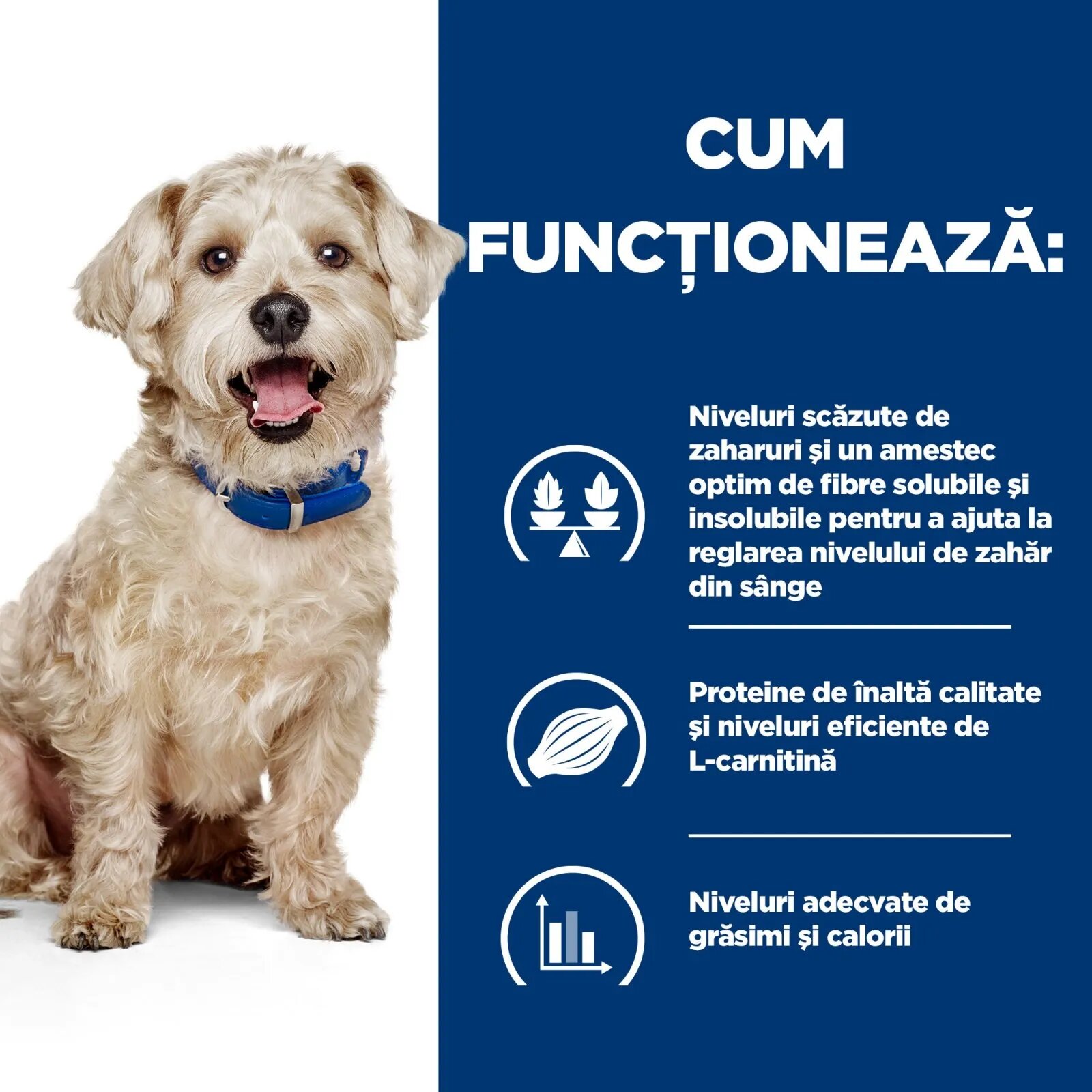 HILL'S Prescription Diet w/d Diabetes Care Pui dietă veterinară câini conservă hrană umedă metabolism (obezitate si diabet) 370g