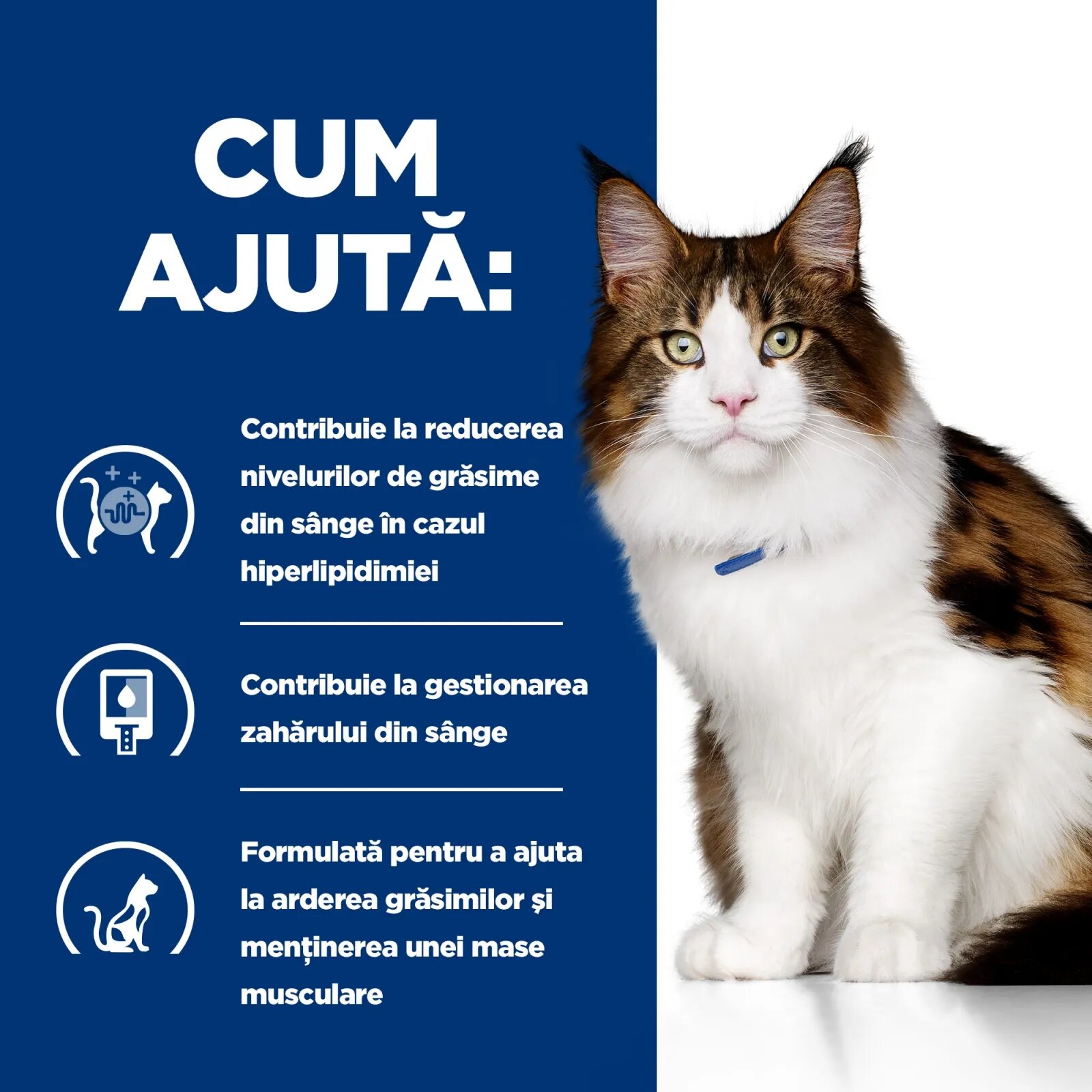 HILL'S Prescription Diet w/d Multi-Benefit Pui dietă veterinară pisici conservă hrană umedă metabolism (obezitate si diabet) 156g