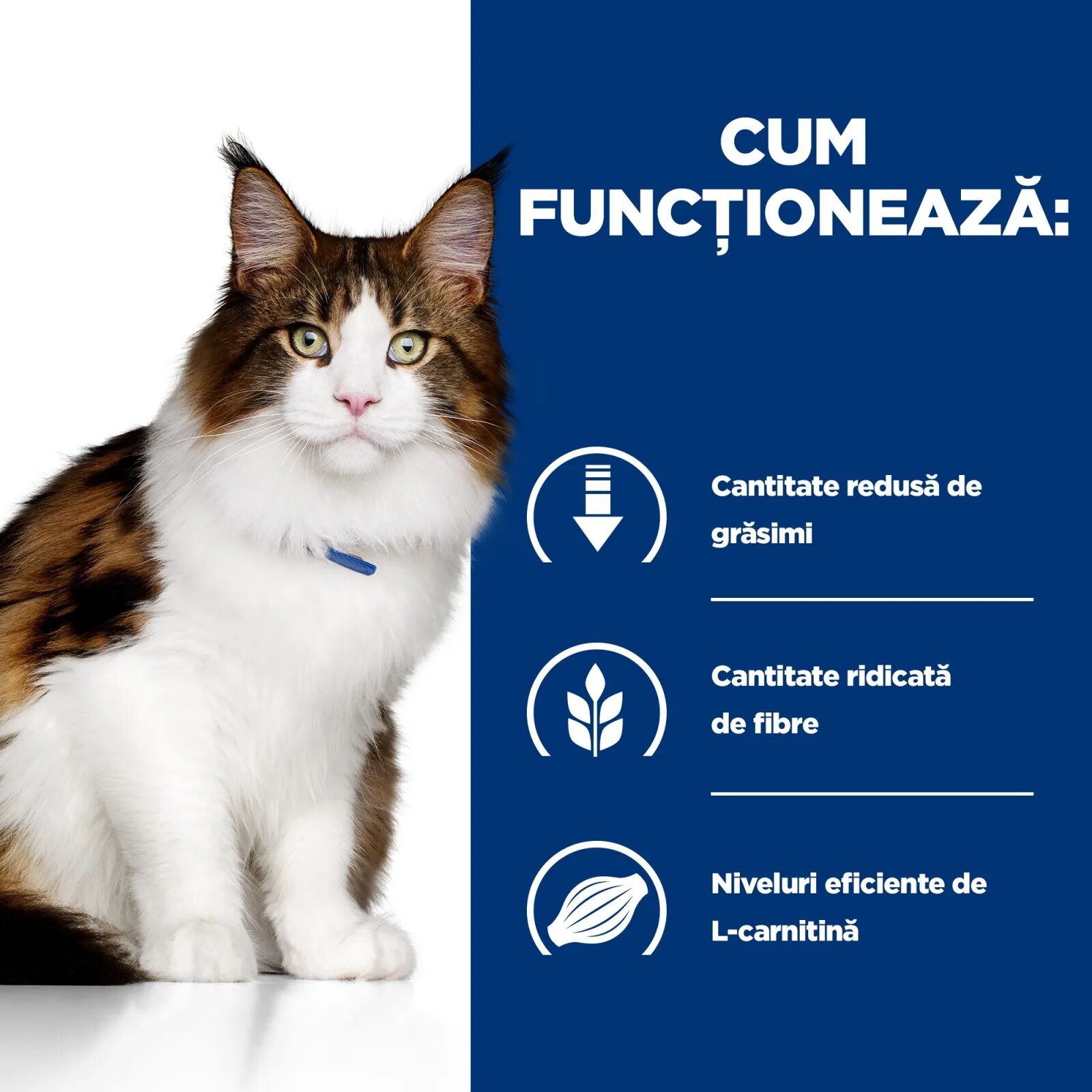 HILL'S Prescription Diet w/d Multi-Benefit Pui dietă veterinară pisici hrană uscată afecțiuni metabolice (diabet) w/d Multi-Benefit Pui dietă veterinară pisici hrană uscată metabolism (obezitate si diabet) 1.5kg