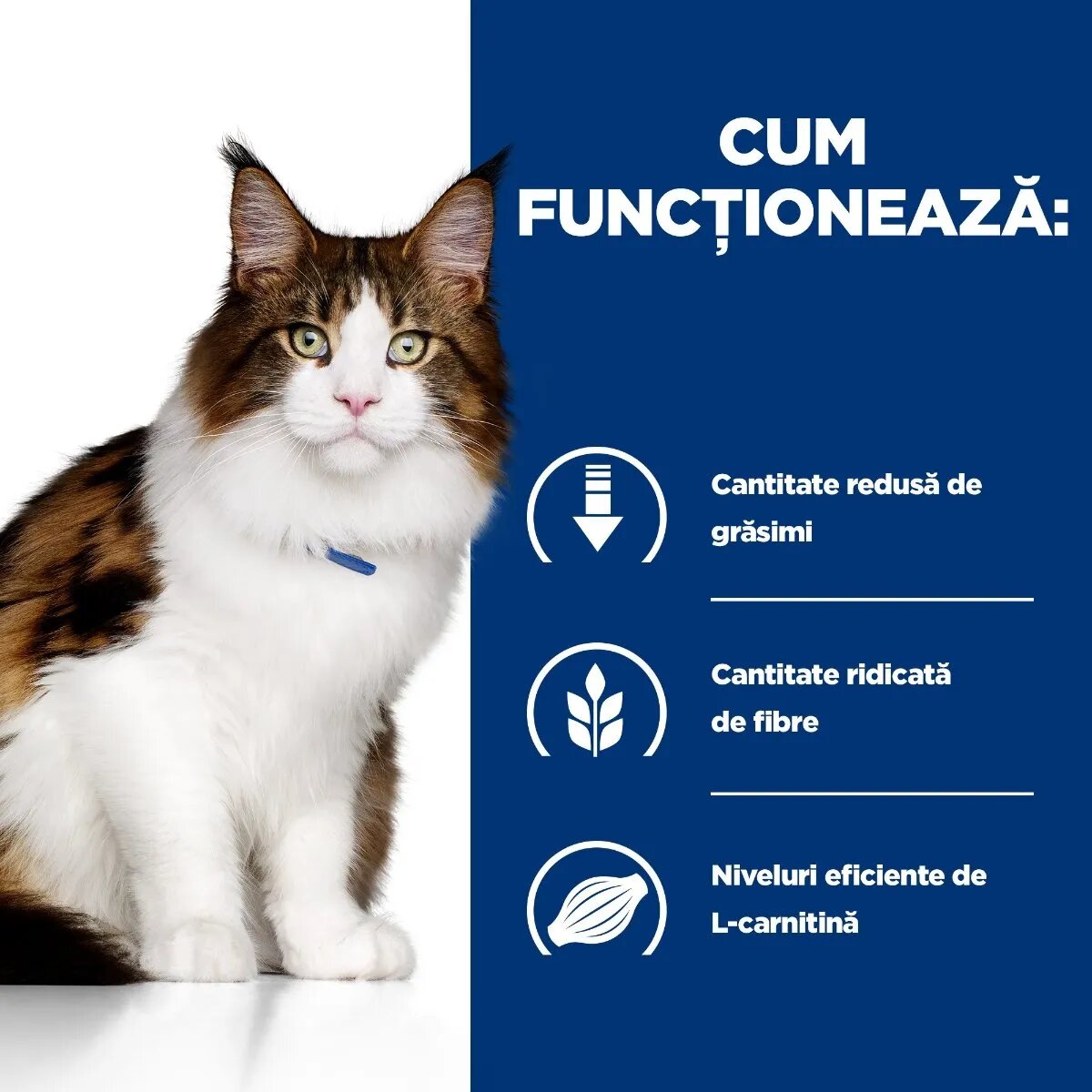 HILL'S Prescription Diet w/d Multi-Benefit Pui dietă veterinară plic hrană umedă pisici obezitate & diabet bax 85g x 12buc