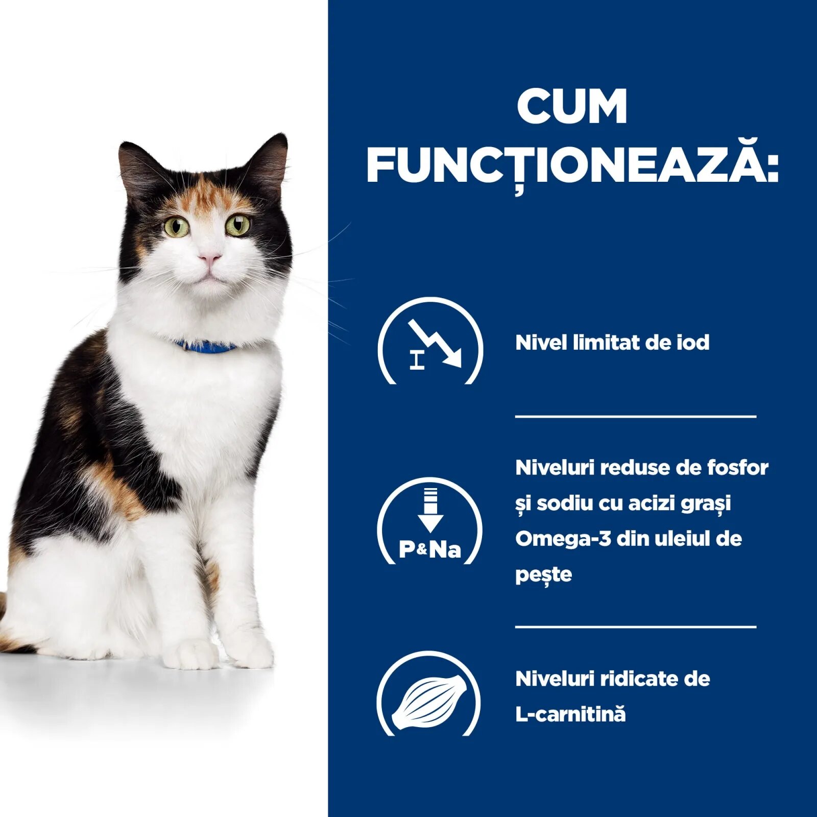 HILL'S Prescription Diet y/d Thyroid Care dietă veterinară pisici hrană uscată afecțiuni tiroidiene y/d Thyroid Care dietă veterinară pisici hrană uscată metabolism ( obezitate si diabet) 1.5kg