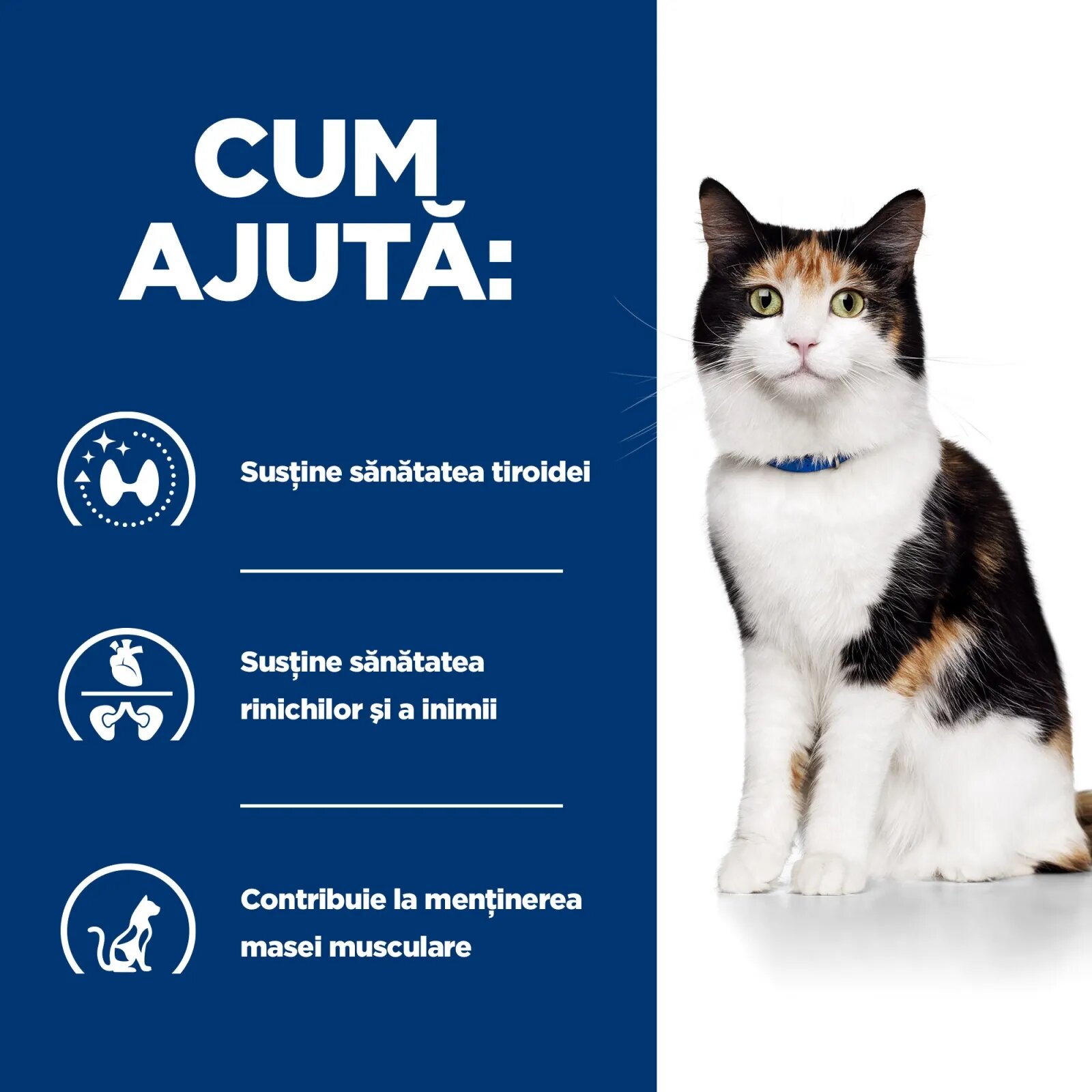 HILL'S Prescription Diet y/d Thyroid Care dietă veterinară pisici hrană uscată afecțiuni tiroidiene y/d Thyroid Care dietă veterinară pisici hrană uscată metabolism ( obezitate si diabet) 3kg