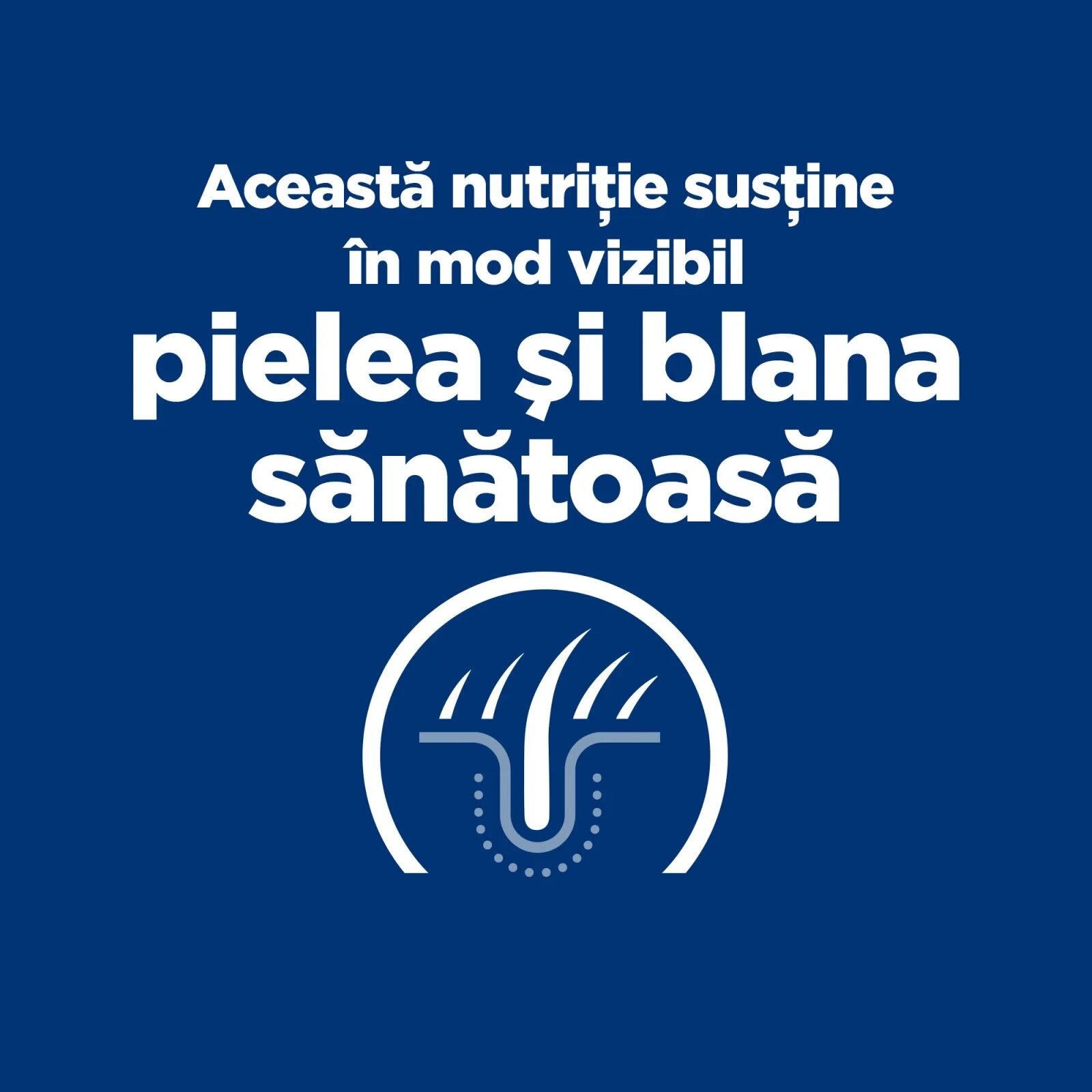 HILL'S Prescription Diet z/d Food Sensitivities dietă veterinară câini conservă hrană umedă piele & blana sistem digestiv (în sos) 370g z/d Food Sensitivities dietă veterinară câini conservă hrană umedă piele & blana si